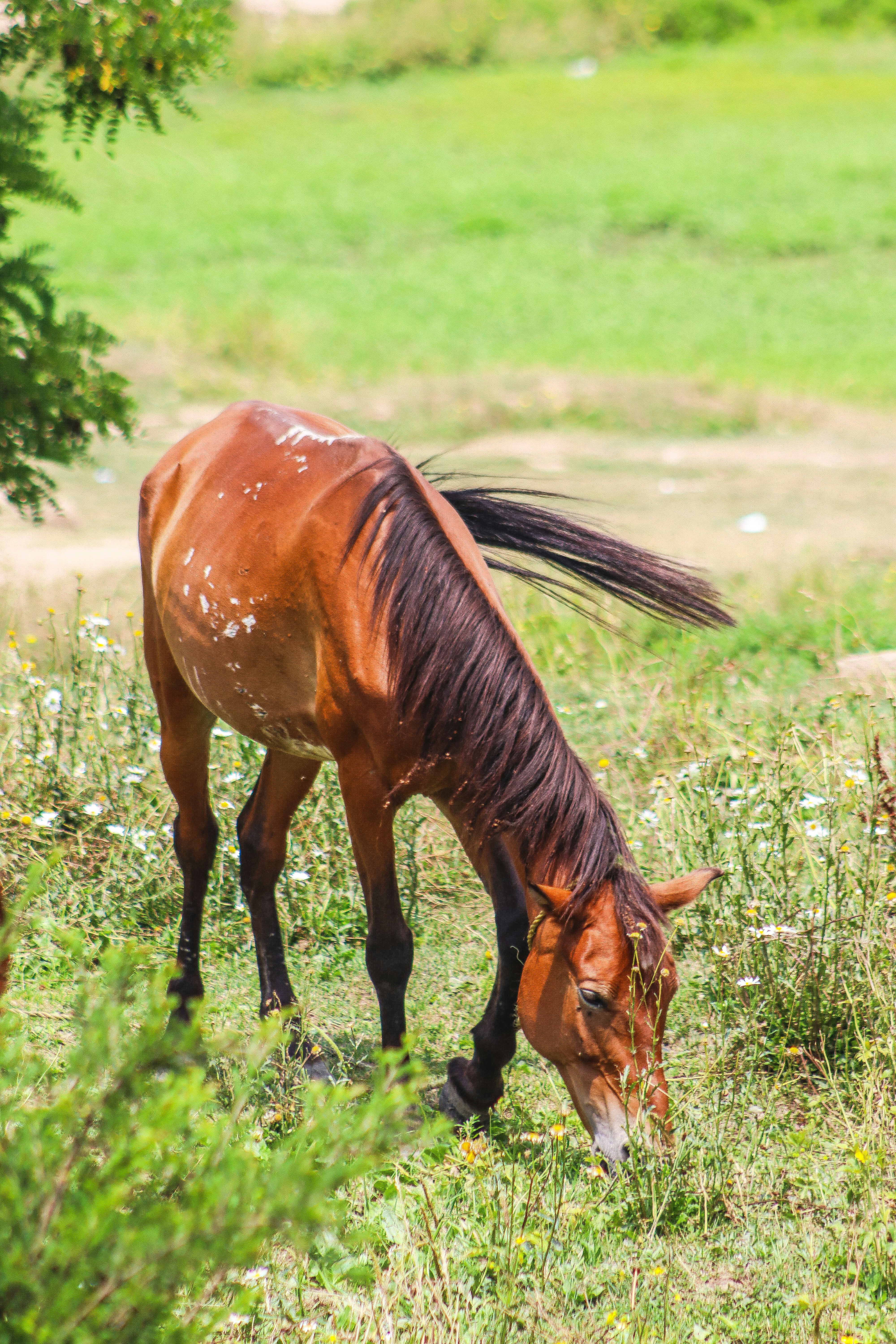 Photo by drphotographer152