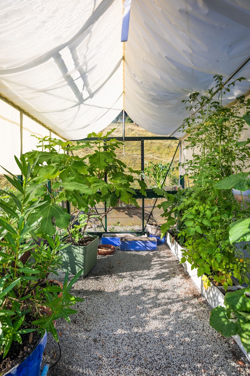 植物育成テントの選び方｜冬越しとLED運用