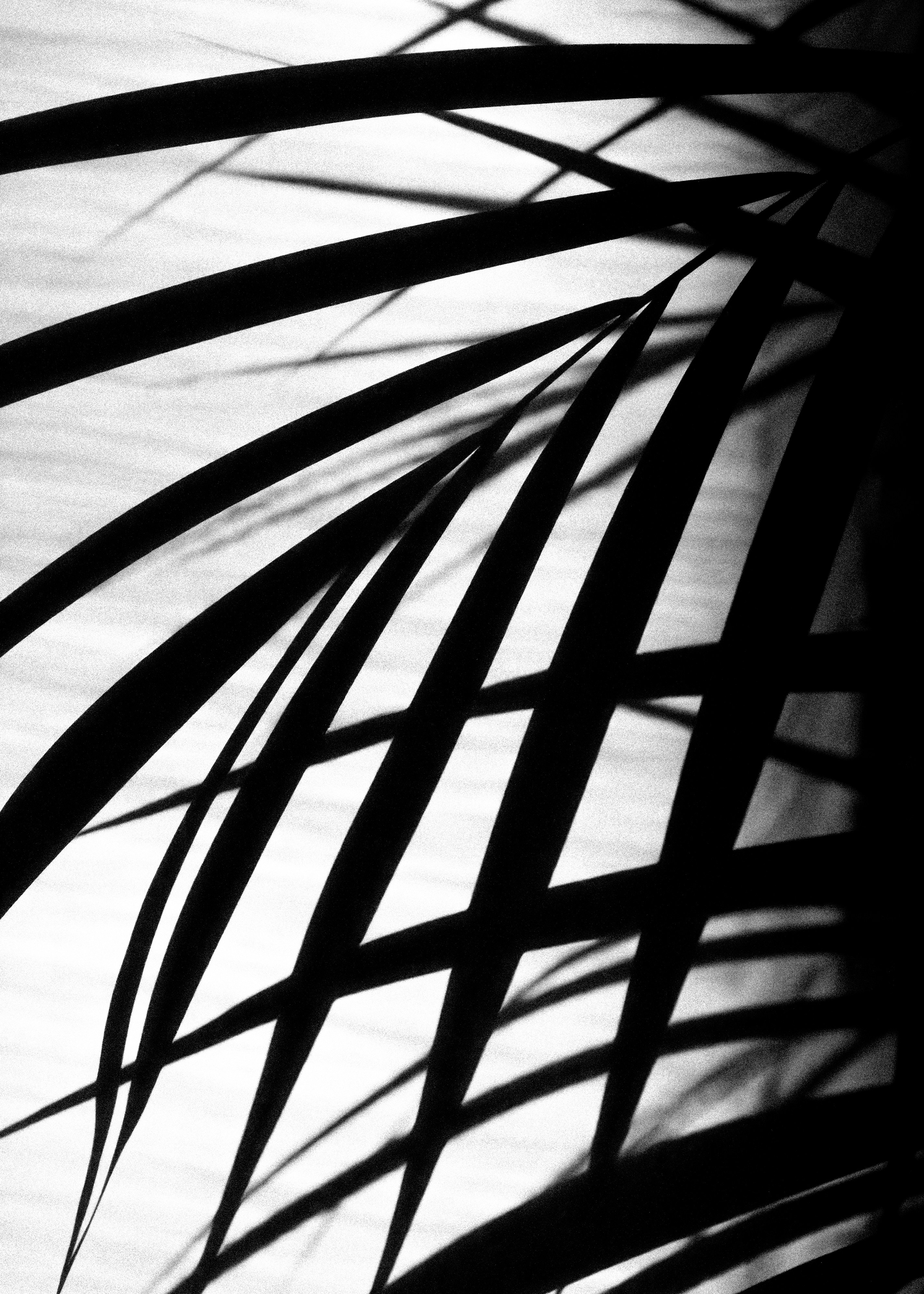 Photo by niven_kadric