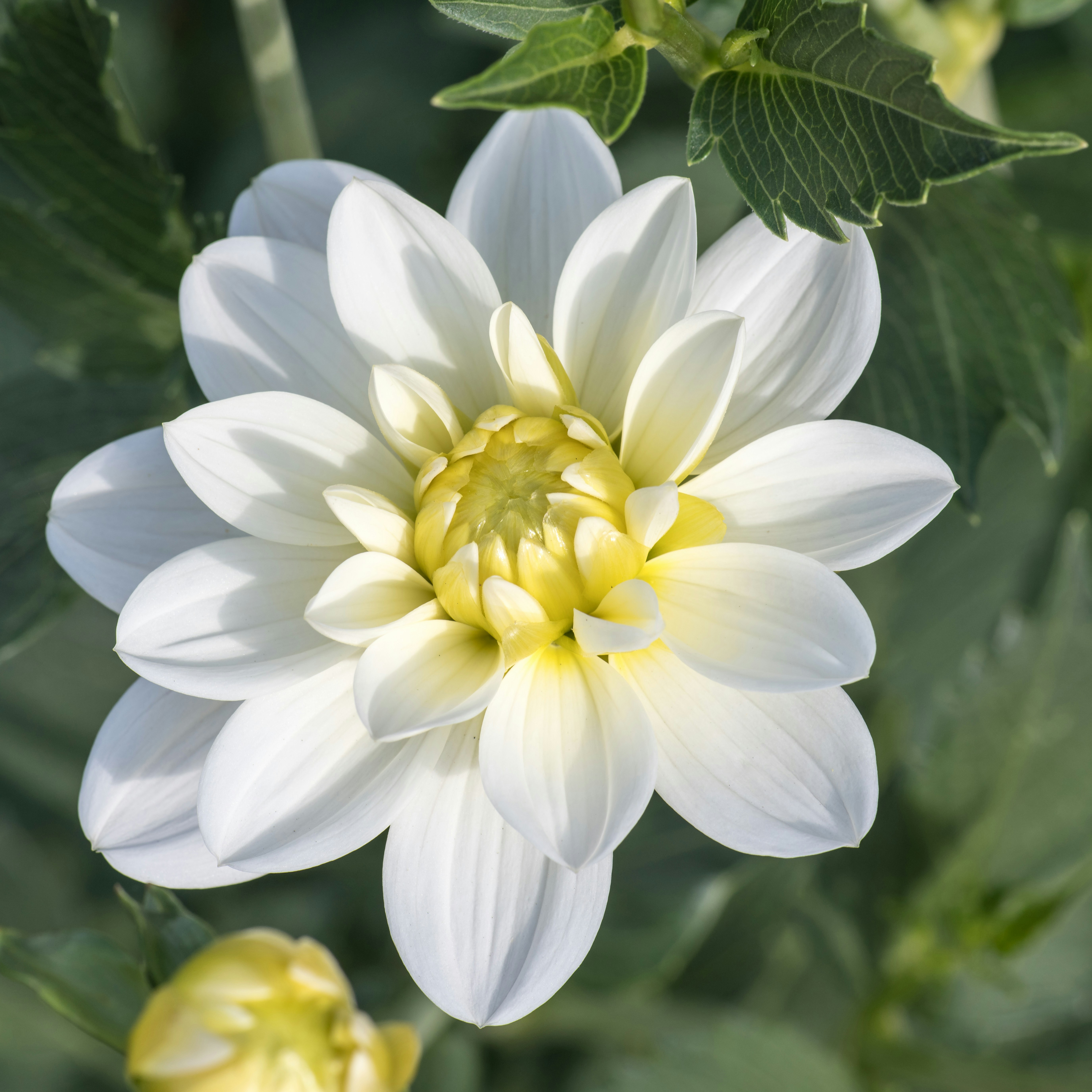 Photo by hamburgmeinefreundin