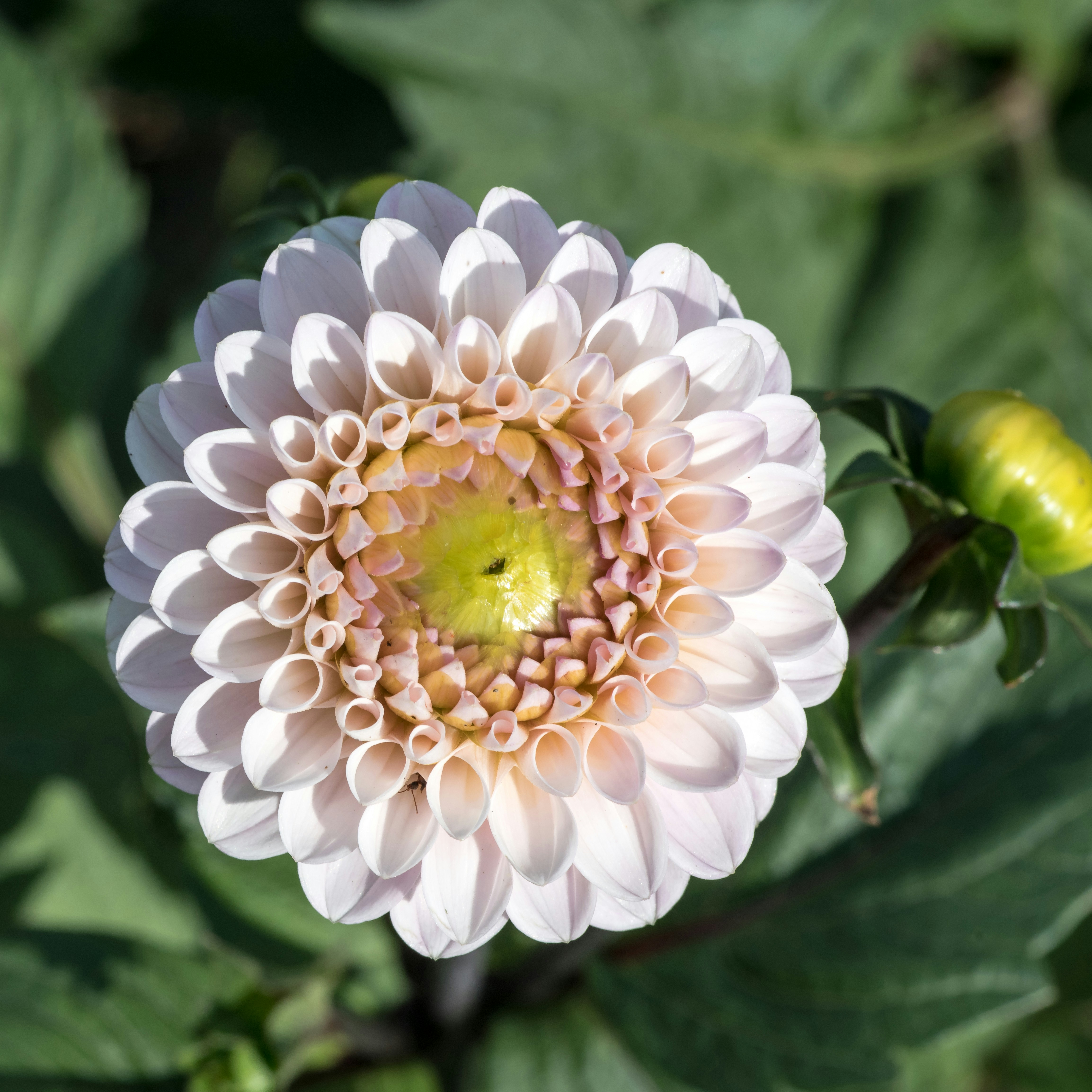 Photo by hamburgmeinefreundin