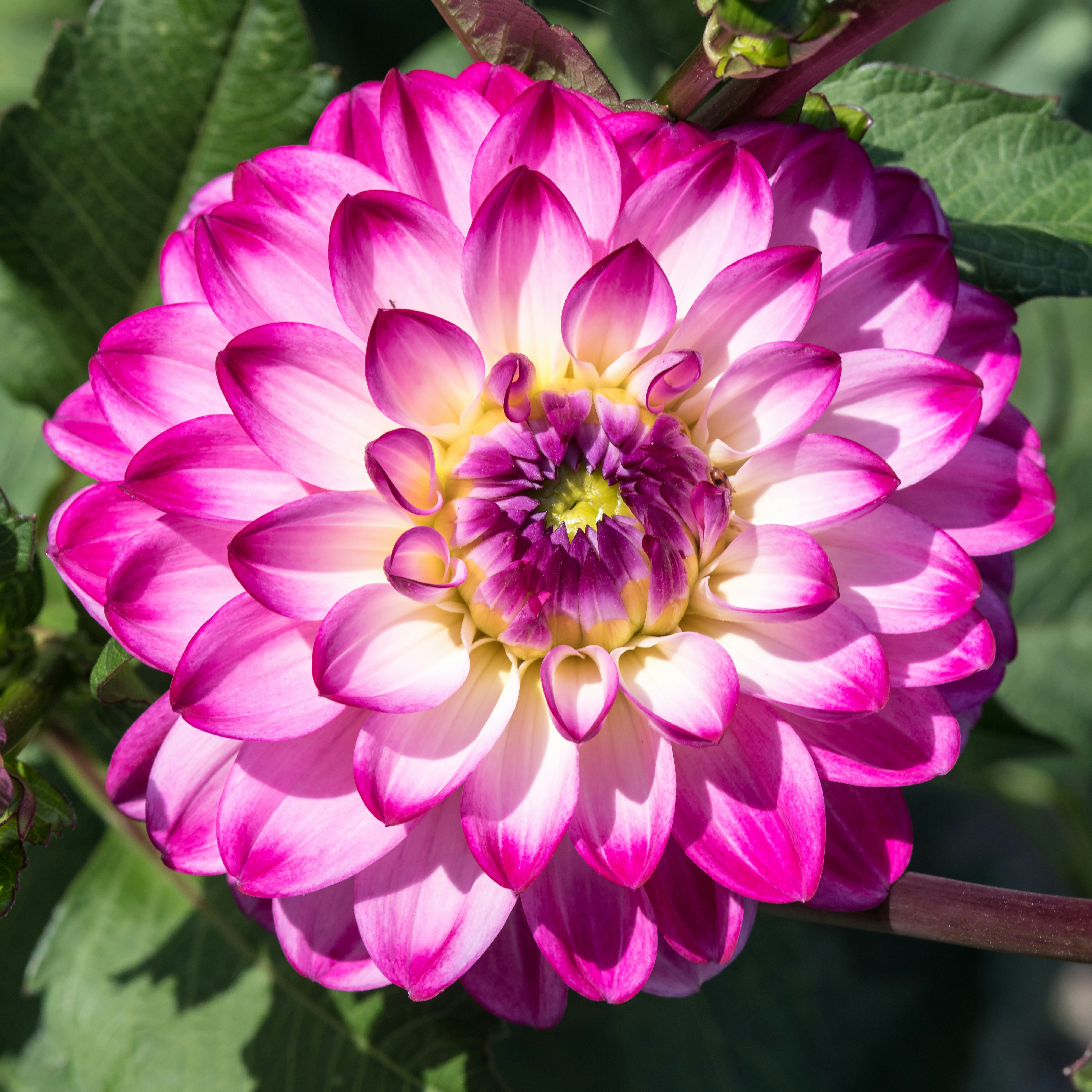 Photo by hamburgmeinefreundin