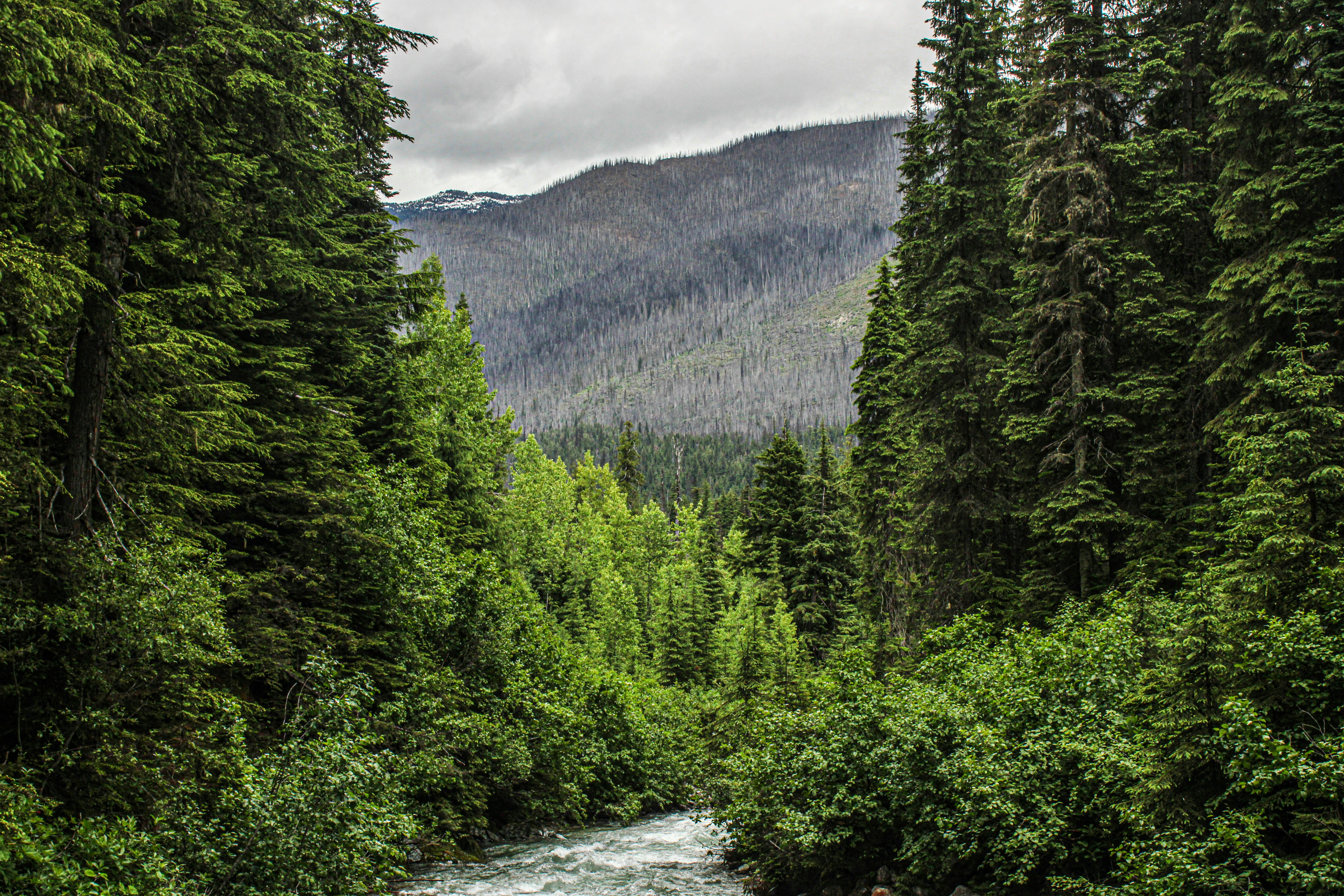 Photo by prphotography262