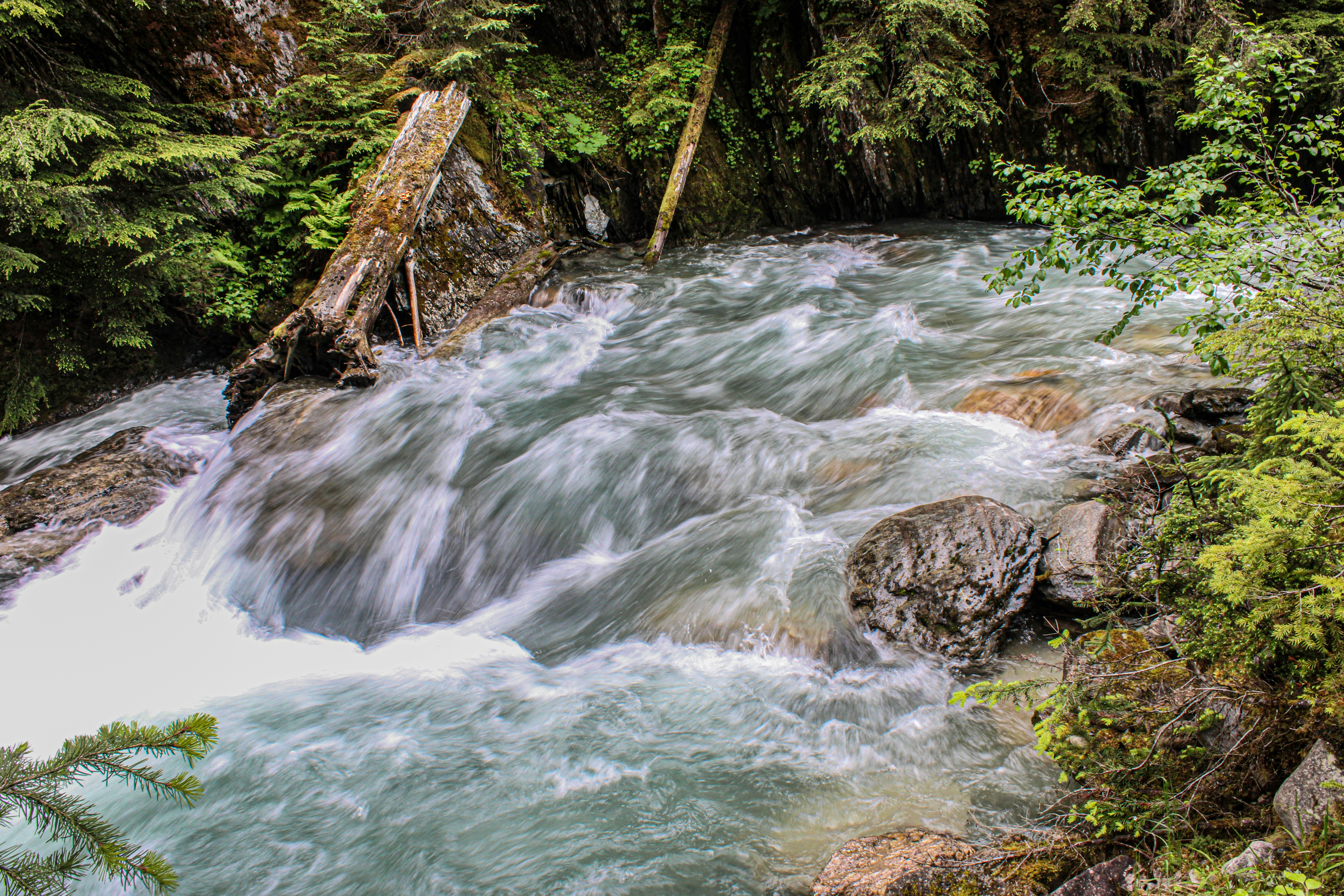 Photo by prphotography262