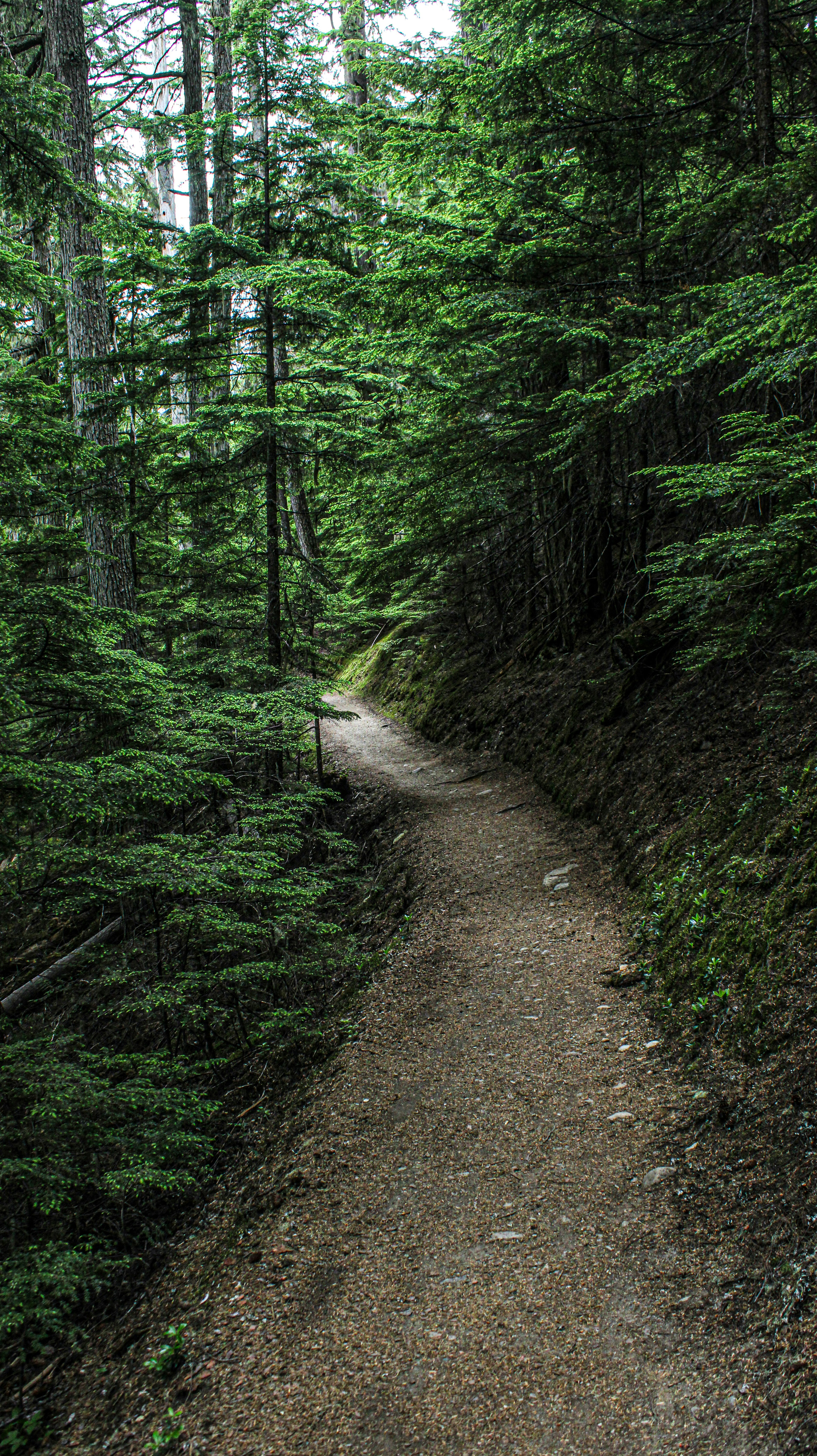 Photo by prphotography262