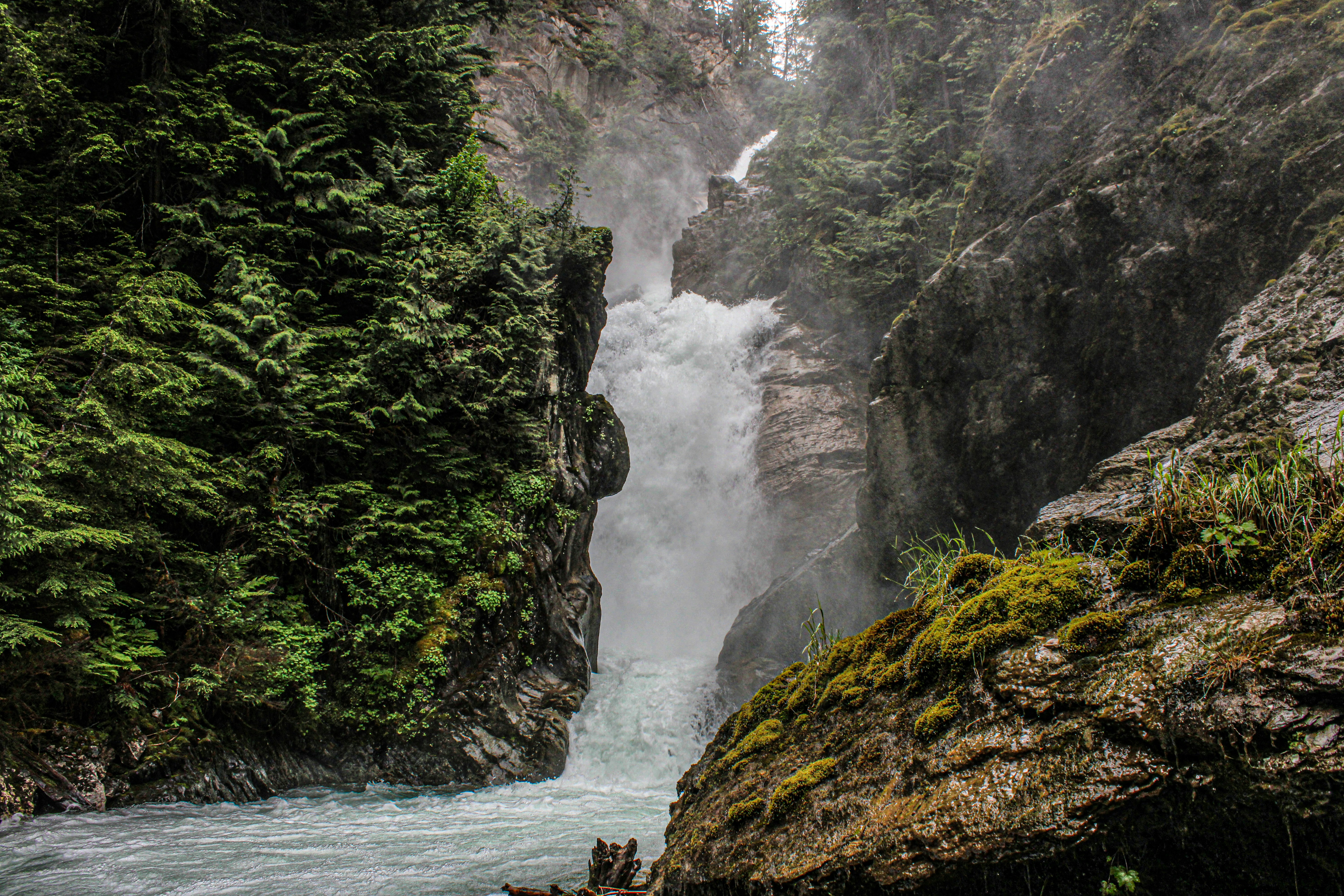 Uma cachoeira no meio de uma floresta