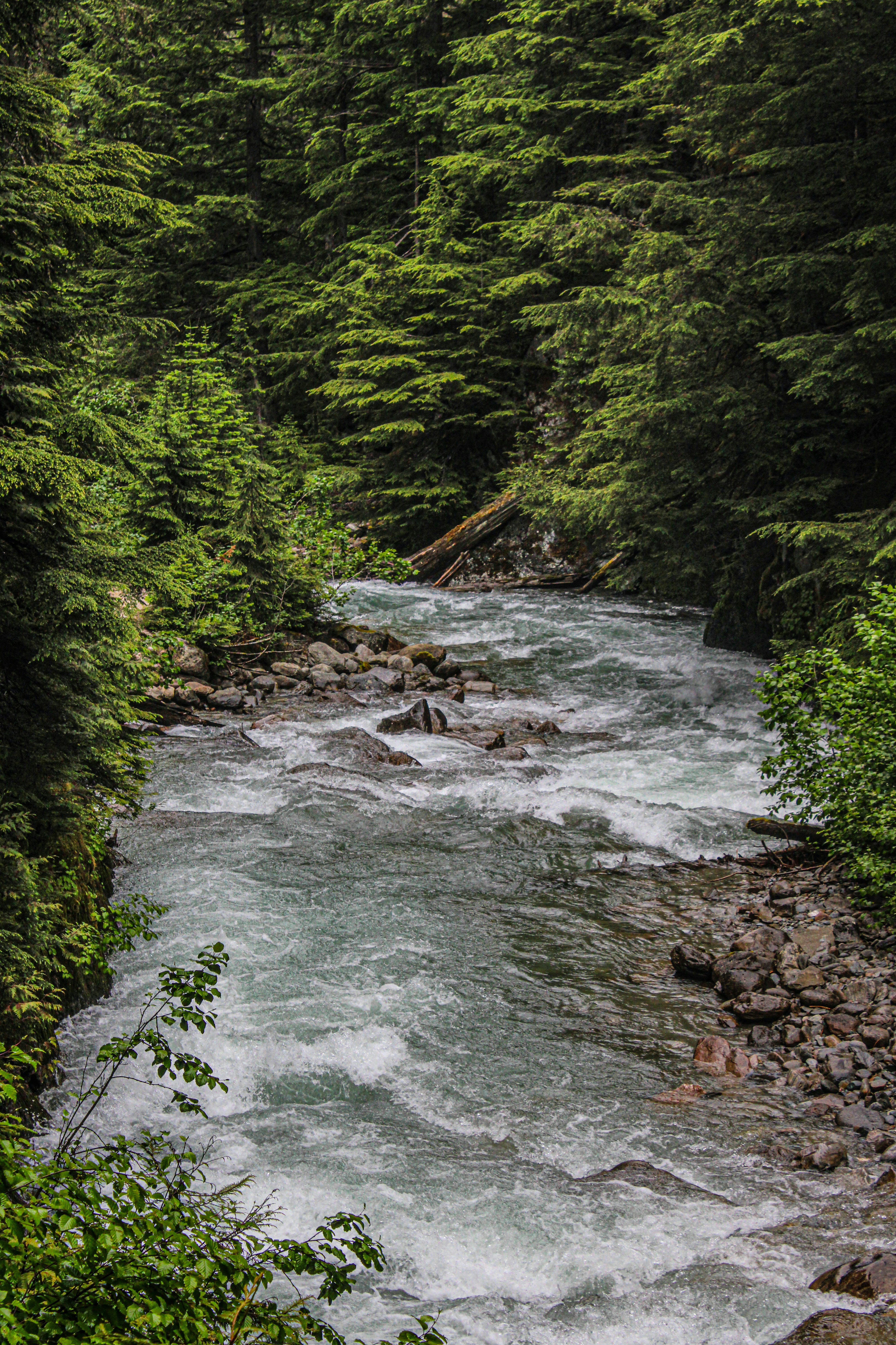 Photo by prphotography262