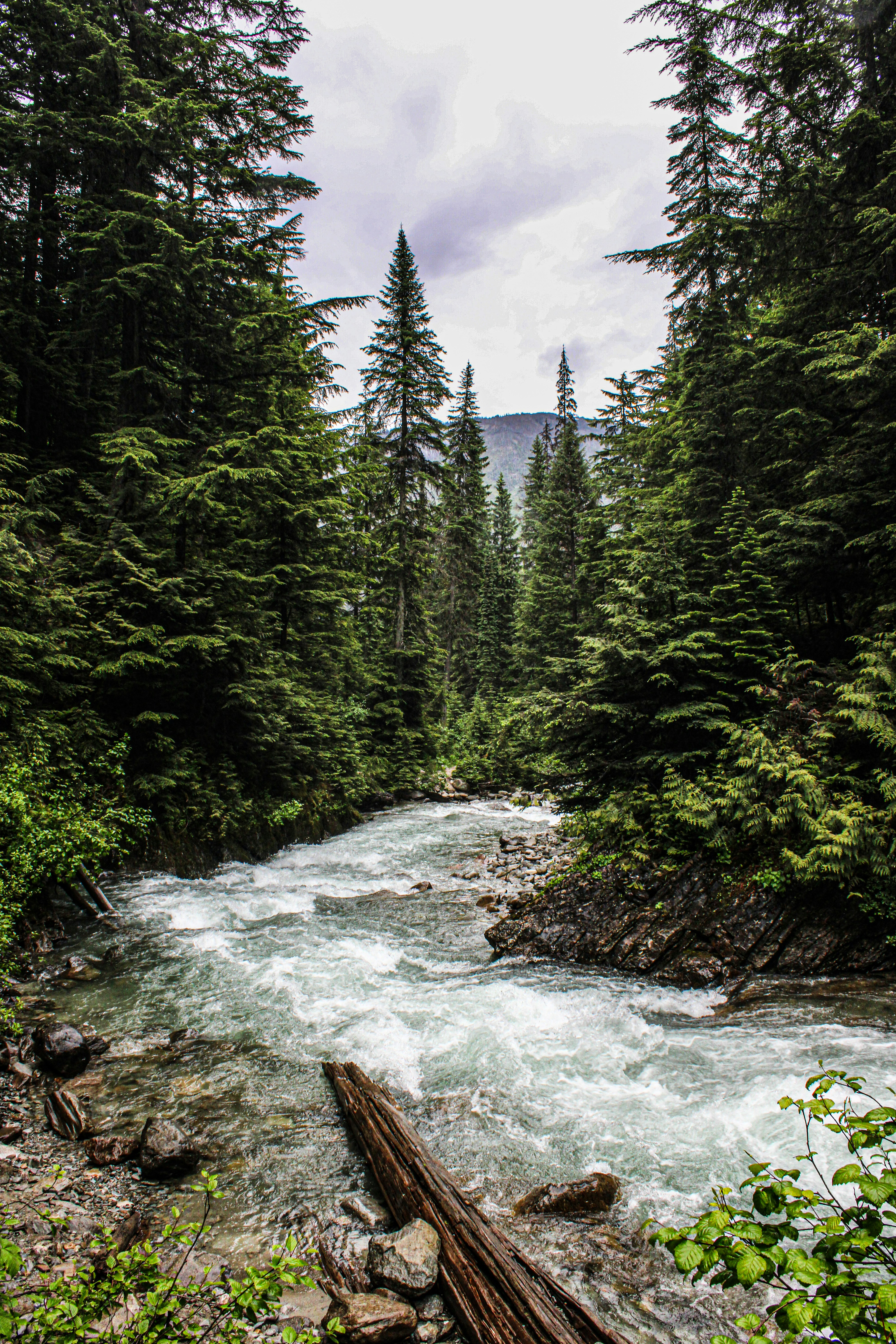 Photo by prphotography262