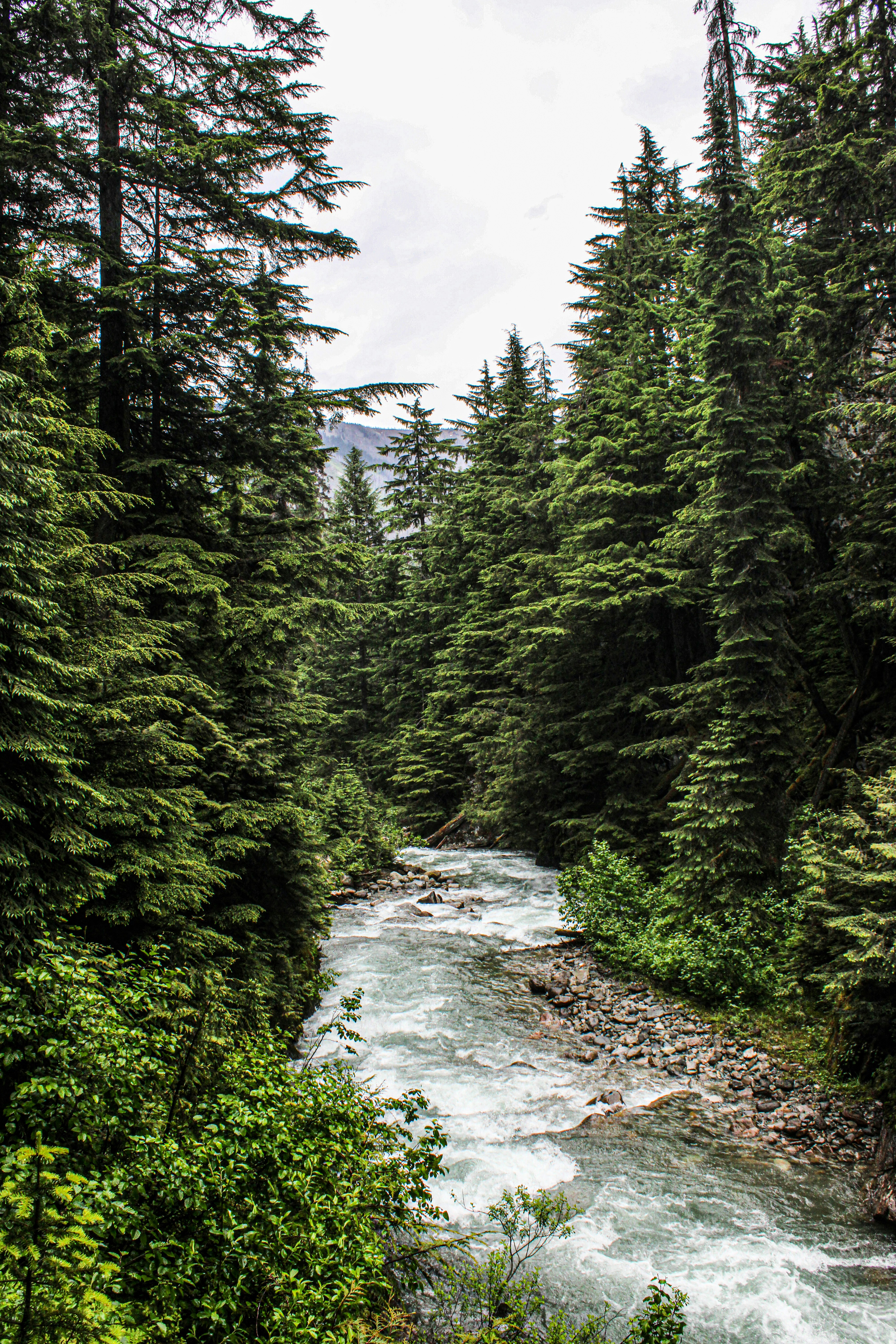 Photo by prphotography262