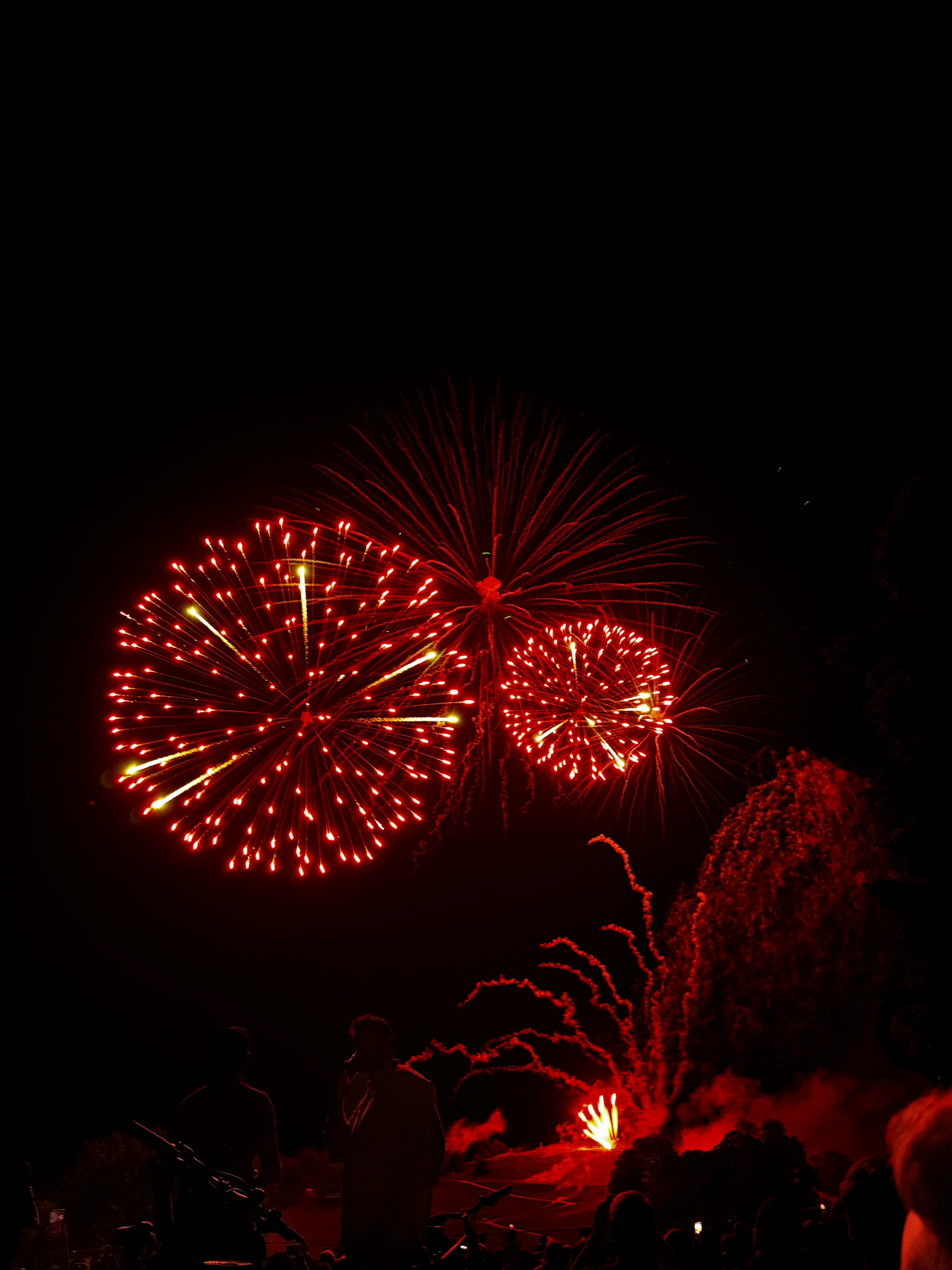 Fireworks are lit up in the night sky