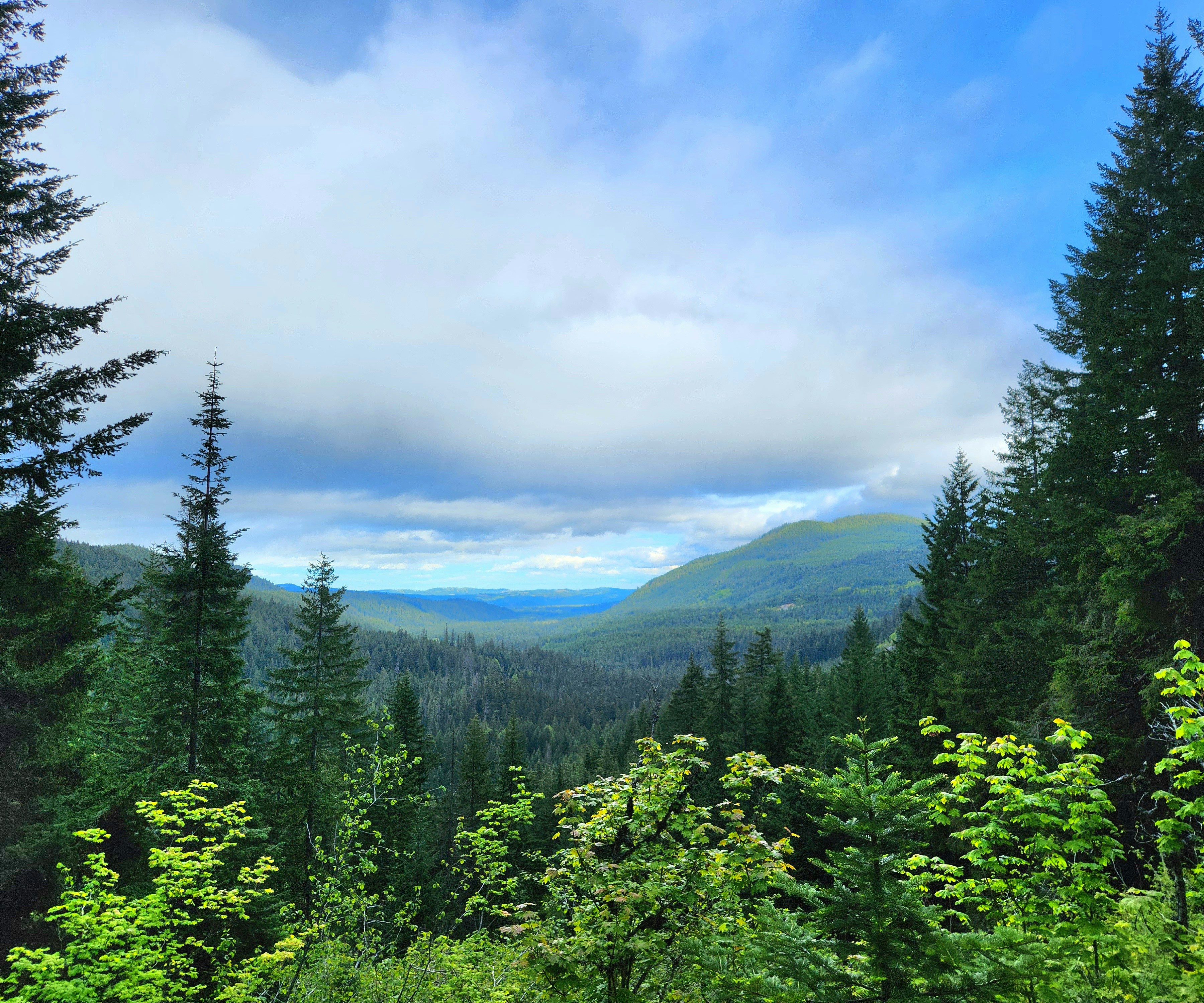 Photo by corrivalrhyme