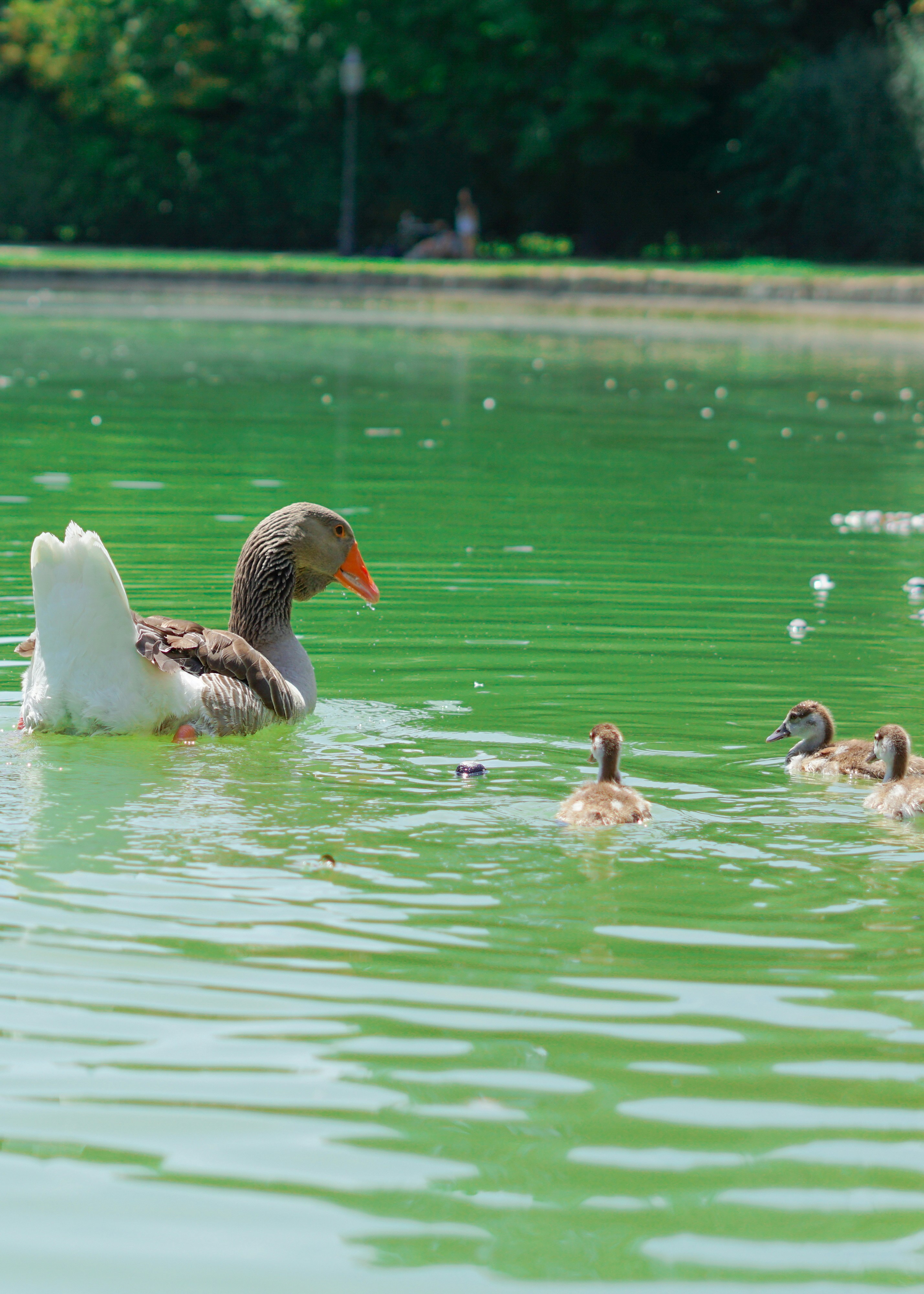 Photo by hardialsingh