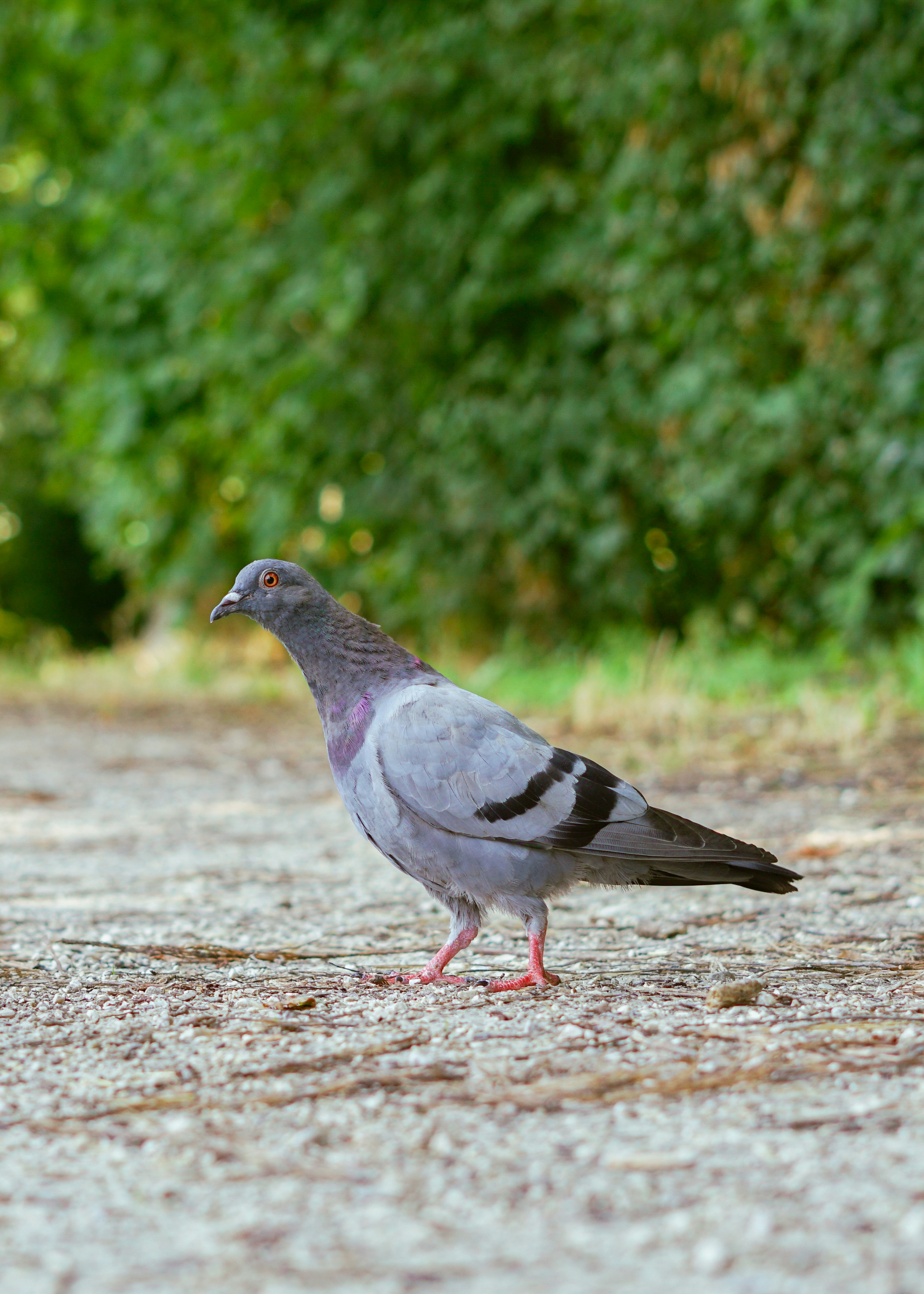 Photo by hardialsingh