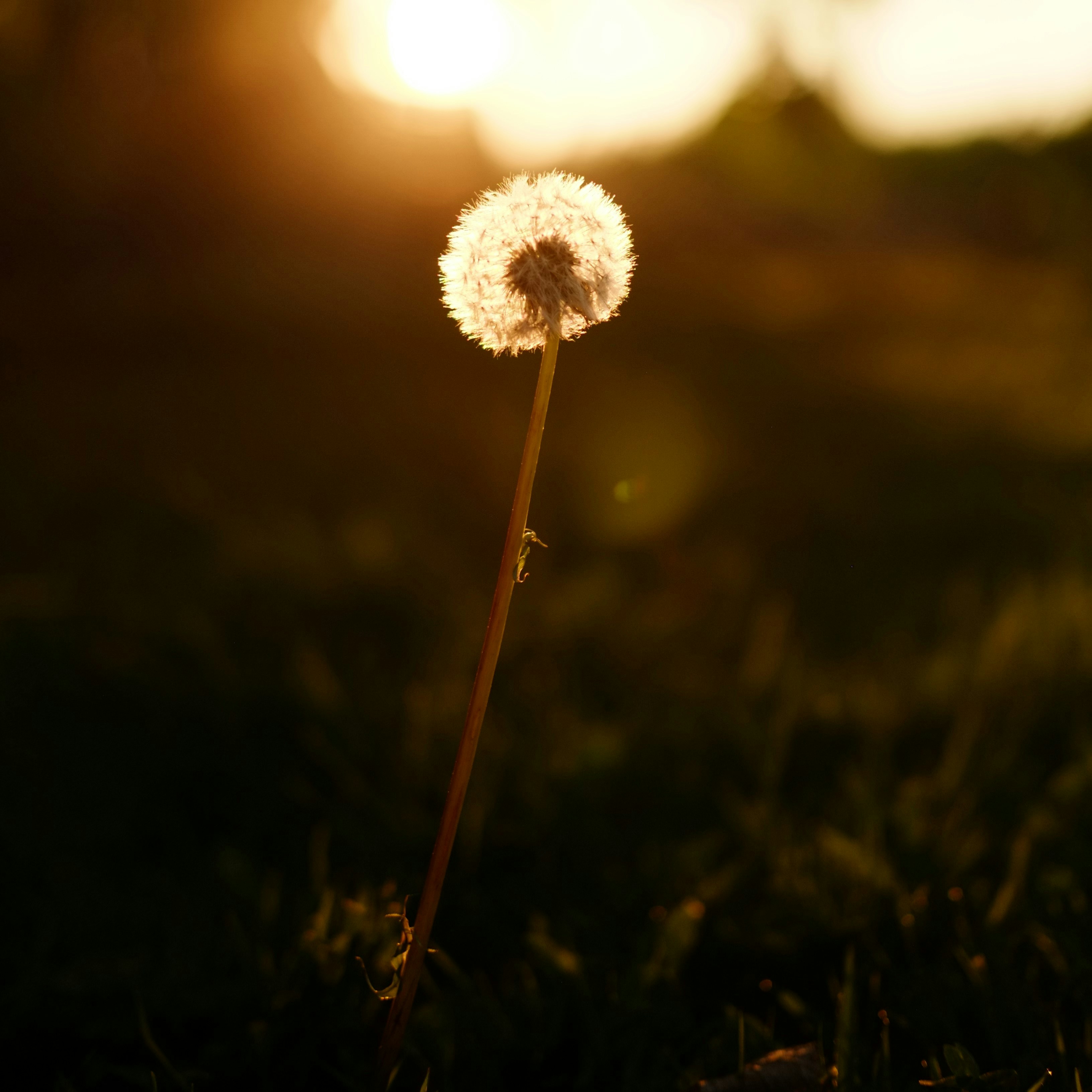 Photo by bernhardbar