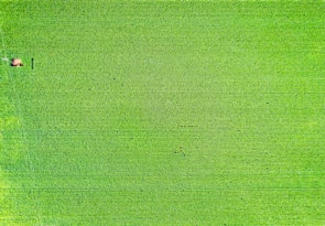 An aerial view of a green field with two people in it