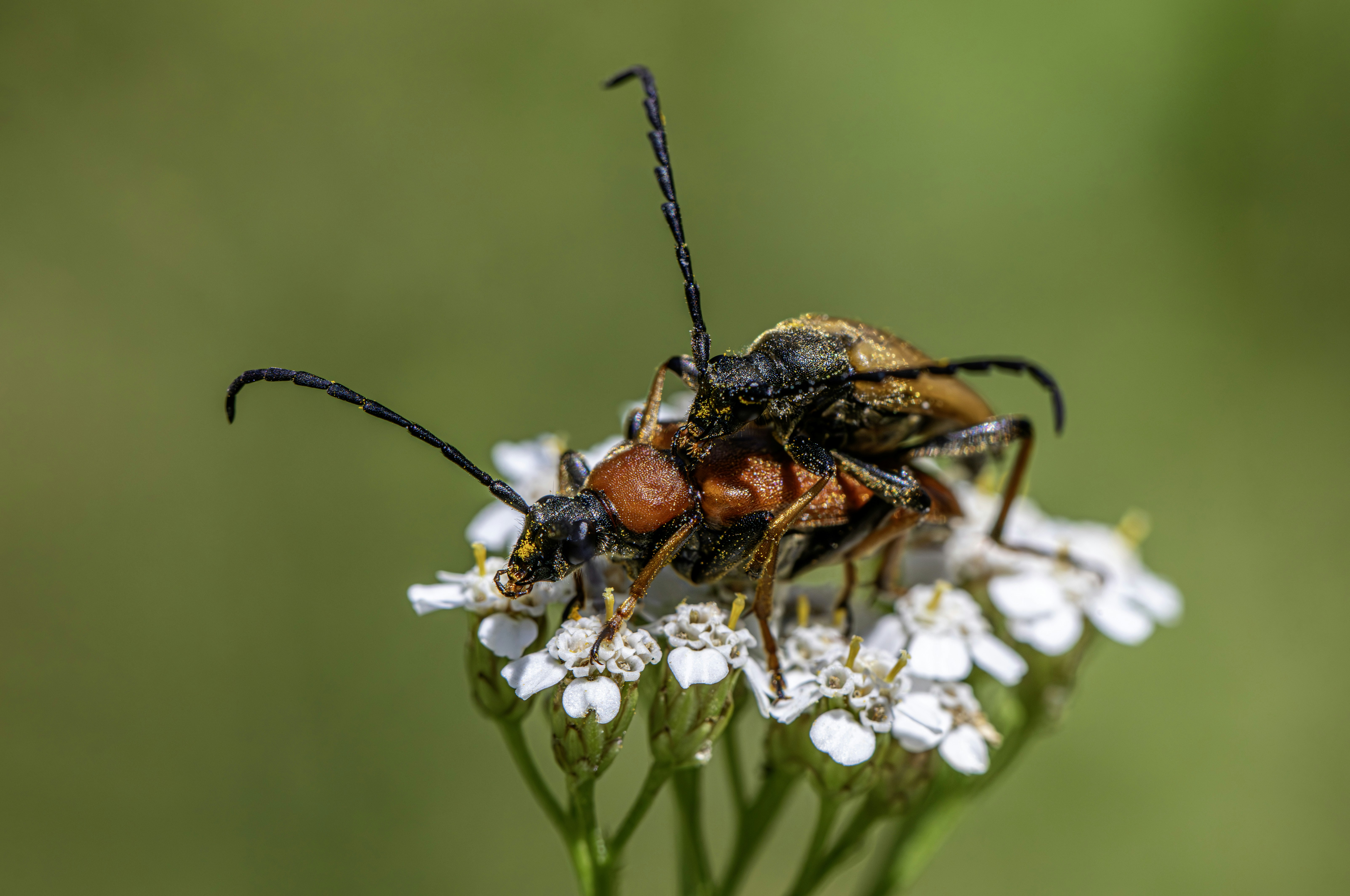 Photo by erik_karits