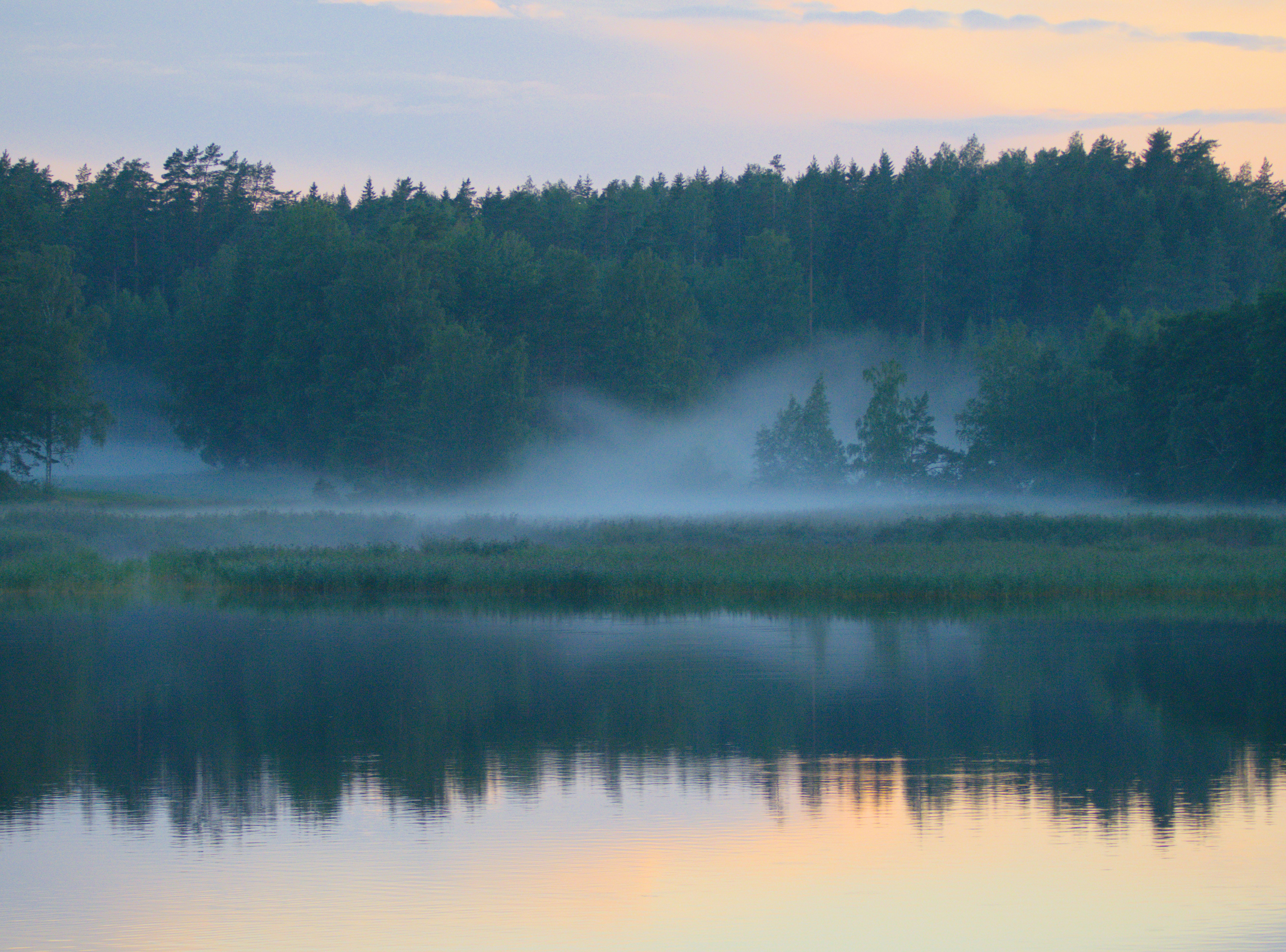 Photo by schneiderhenry