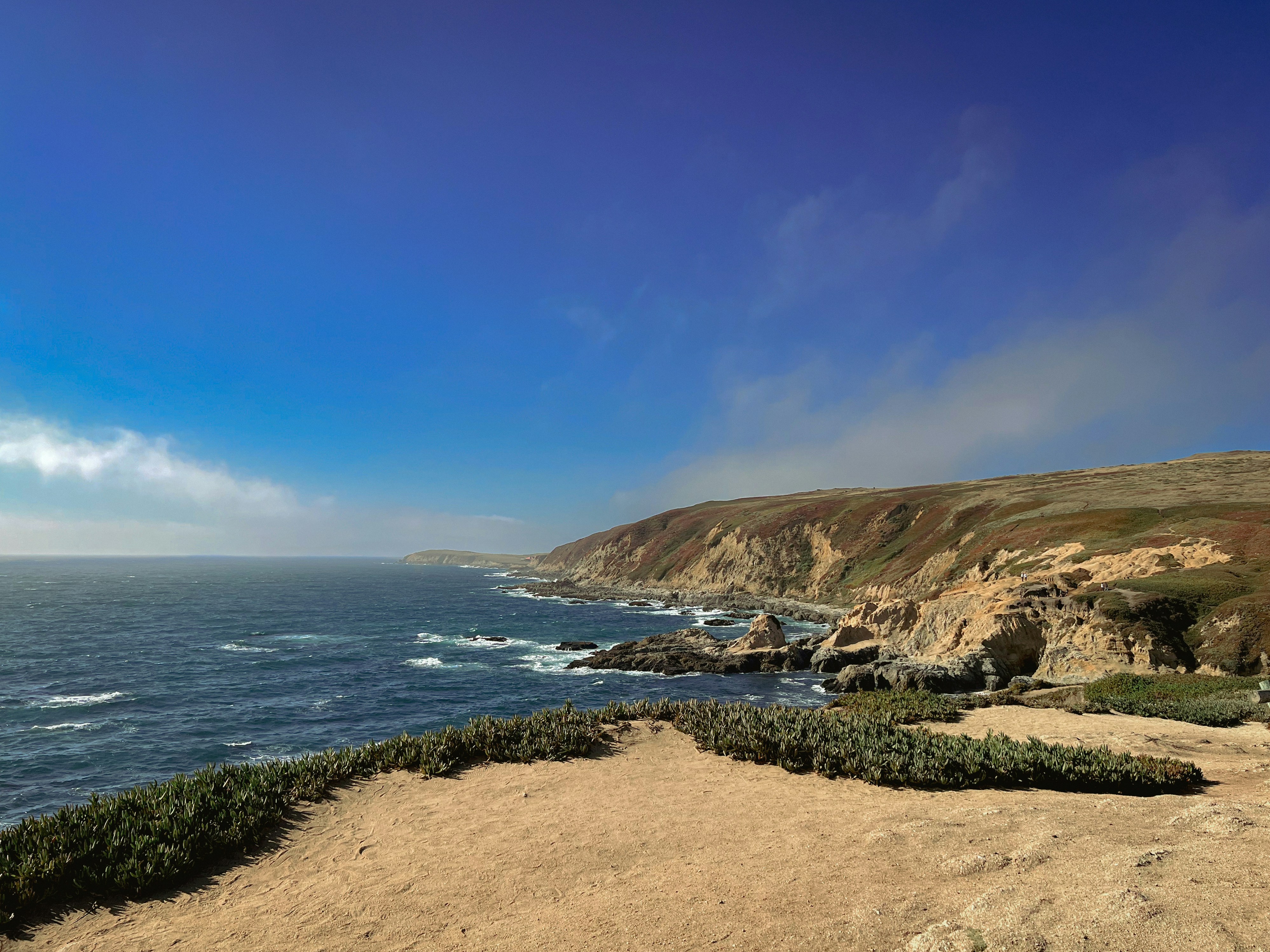 Photo by jaskirat_billing