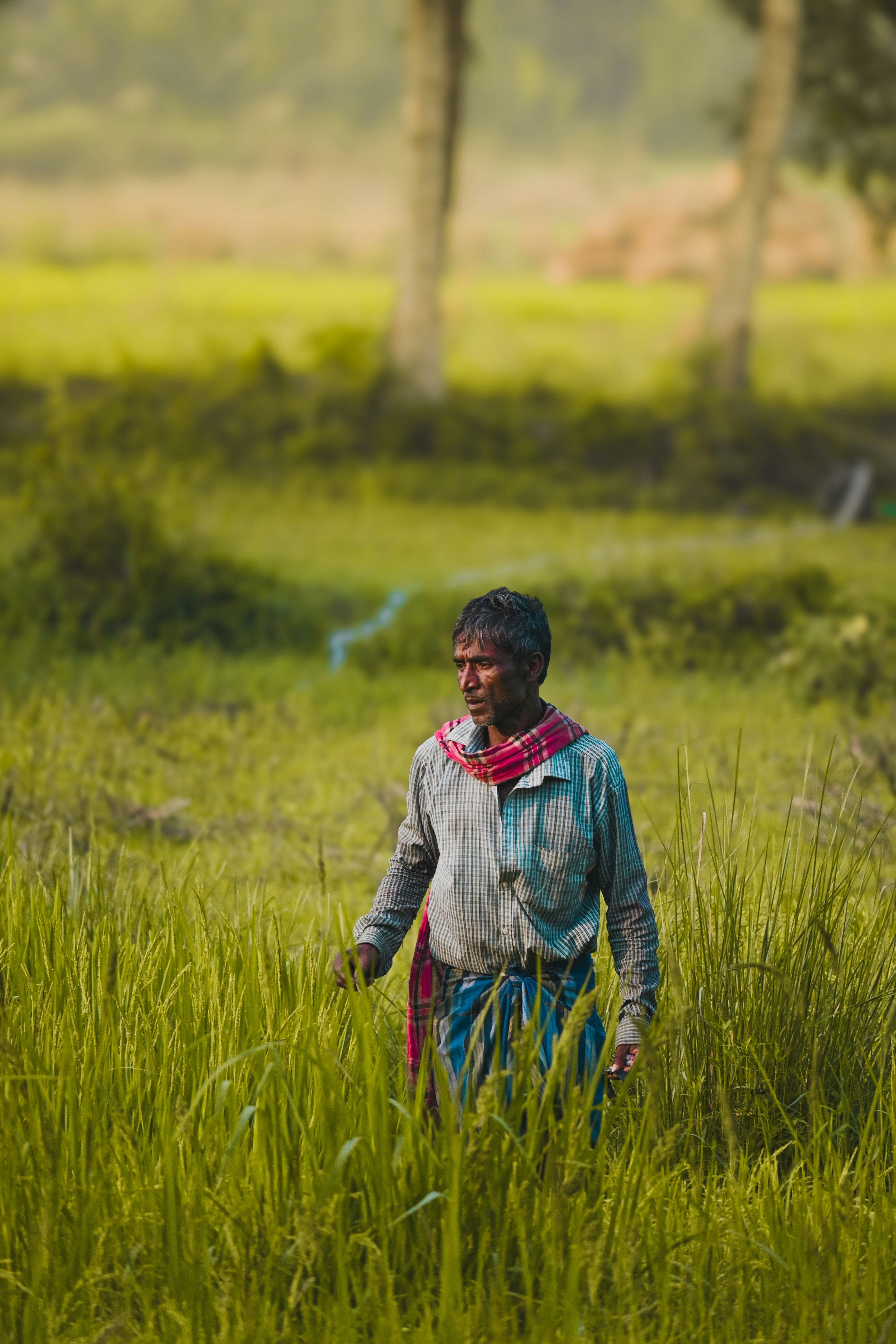 Photo by kolkatarchobiwala