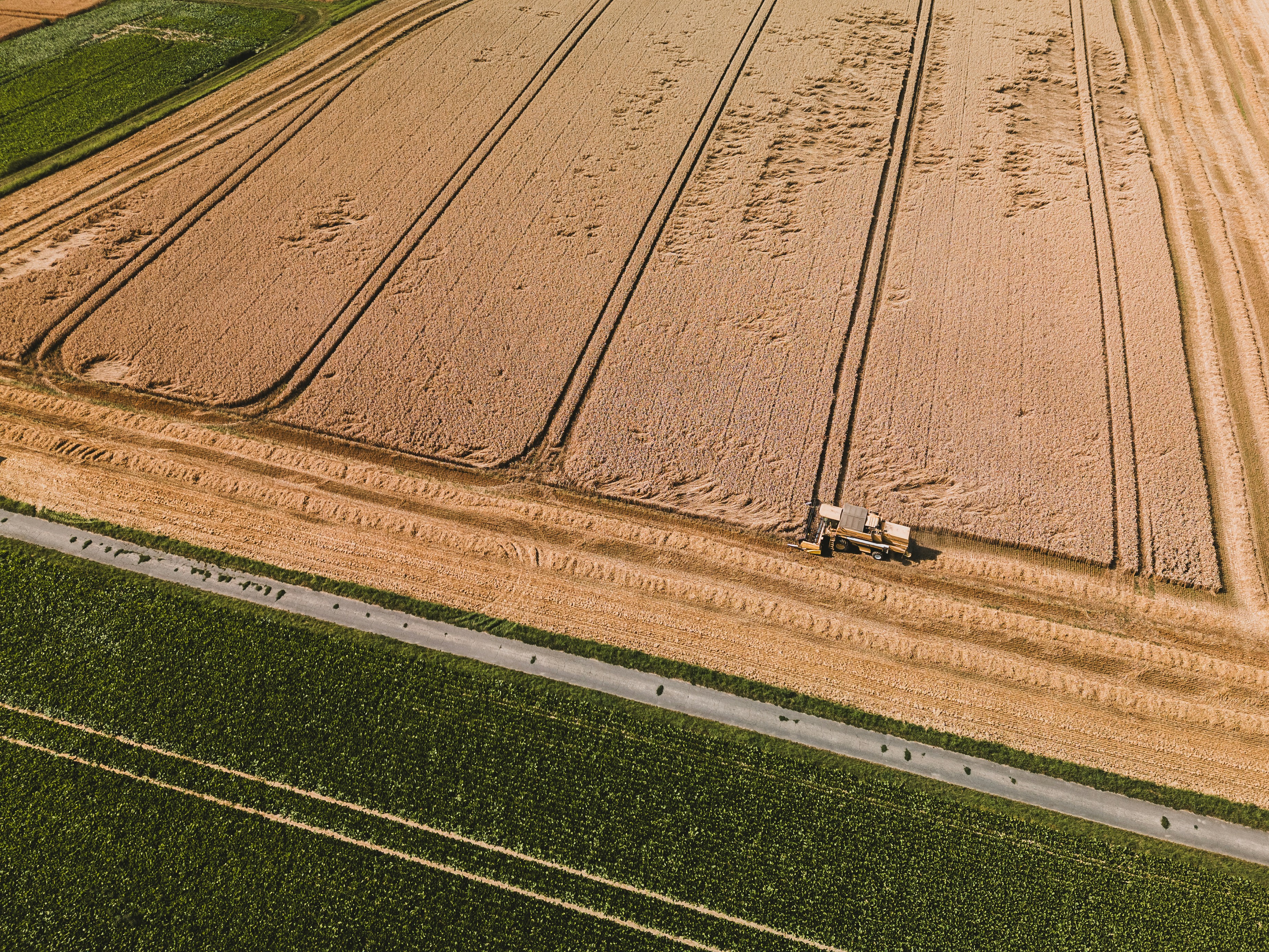 Photo by timonreinhard