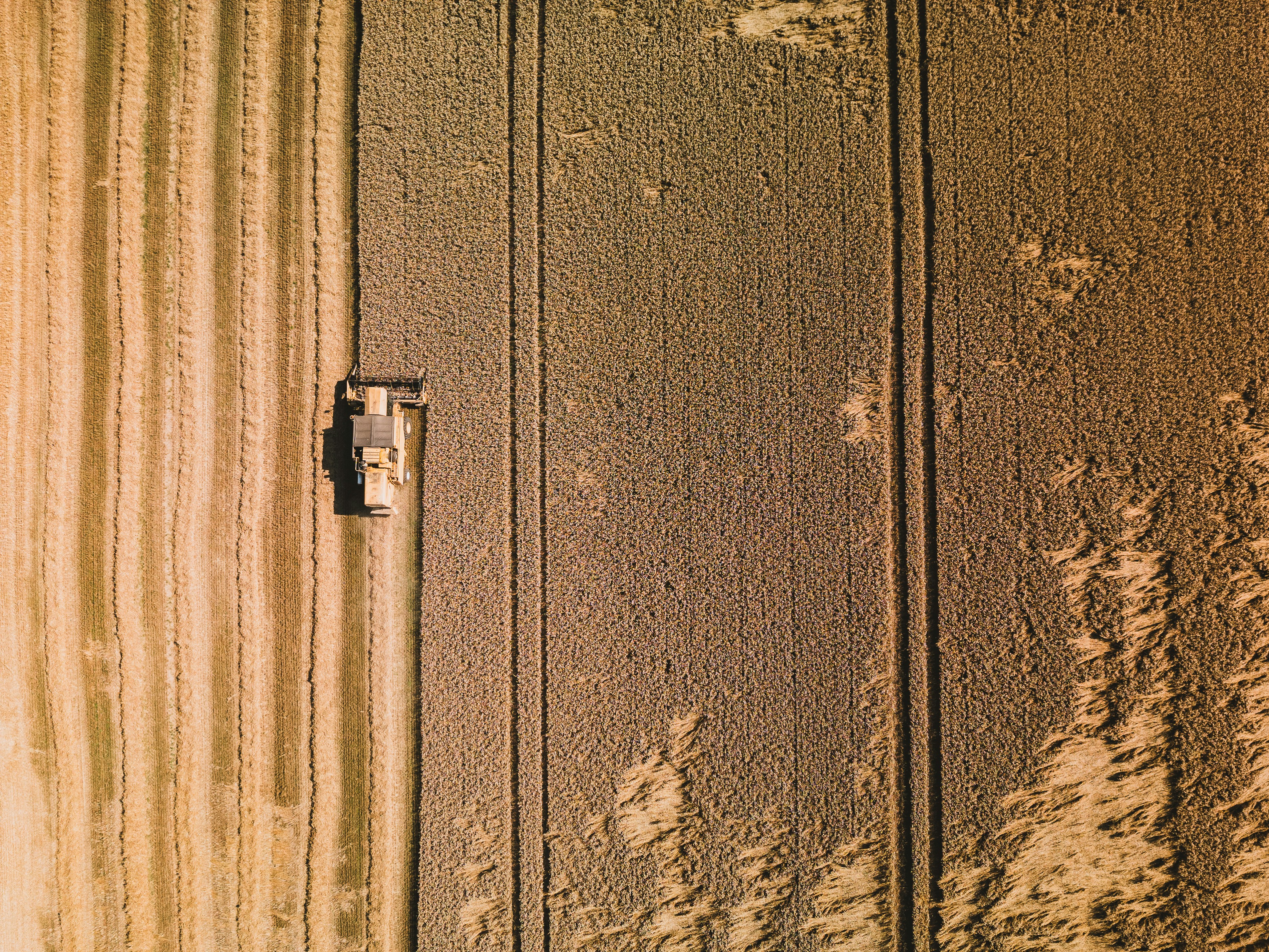 A close up of a metal door with a rusted handle