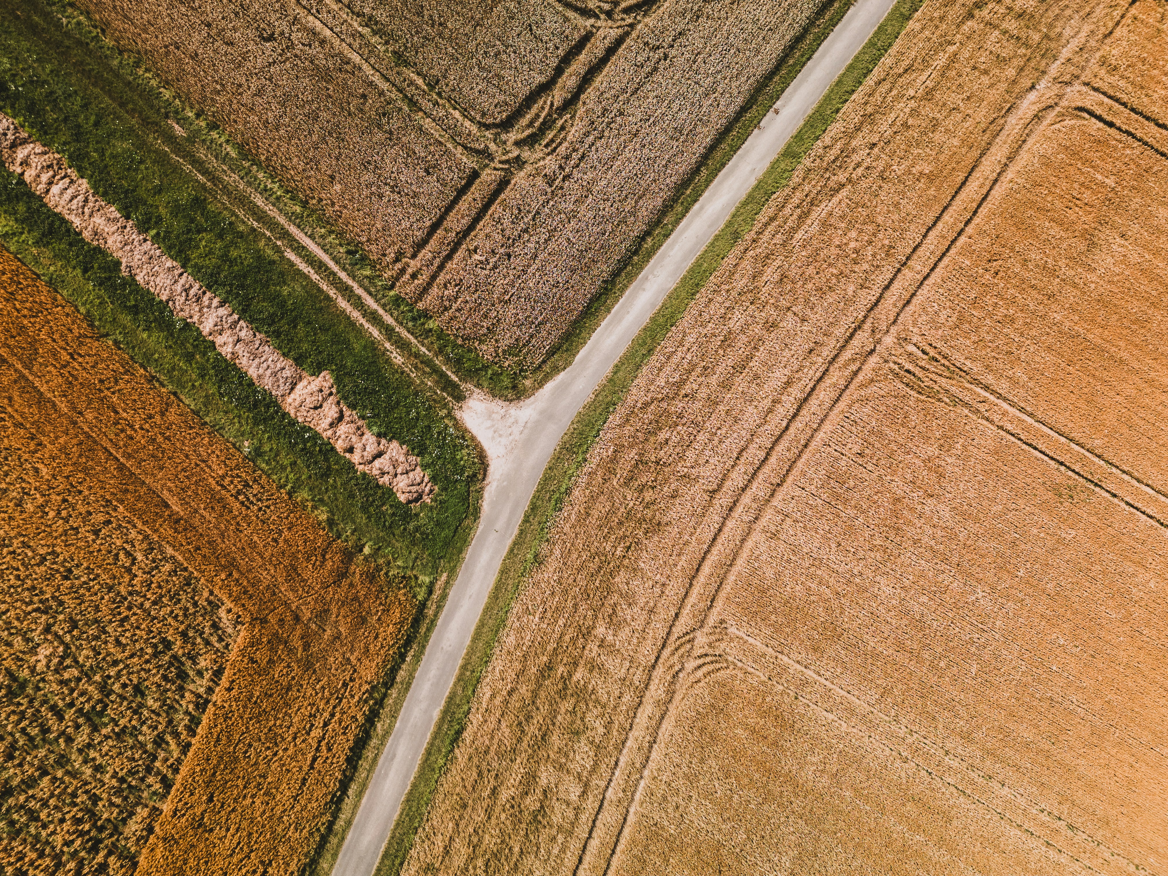 Photo by timonreinhard