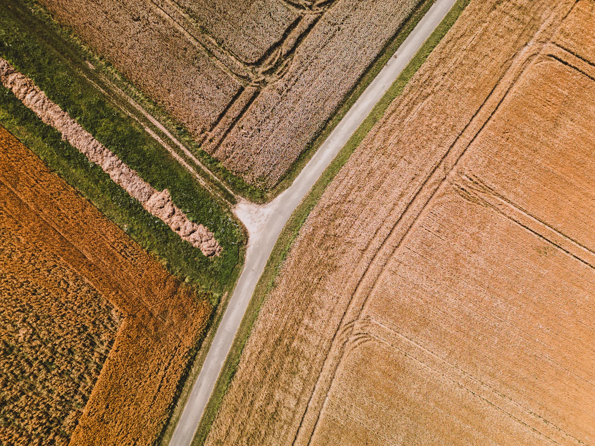 Aerial view of farmland