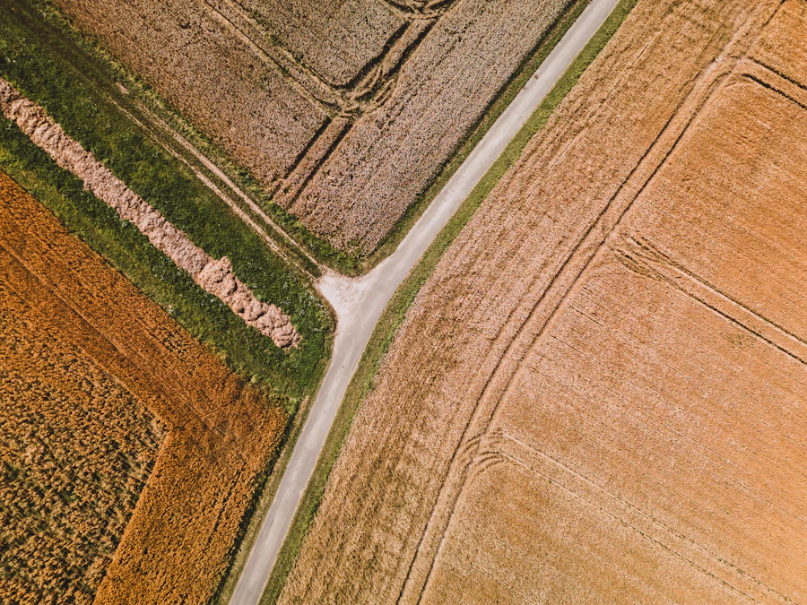 Aerial view of farmland representing agriculture investment