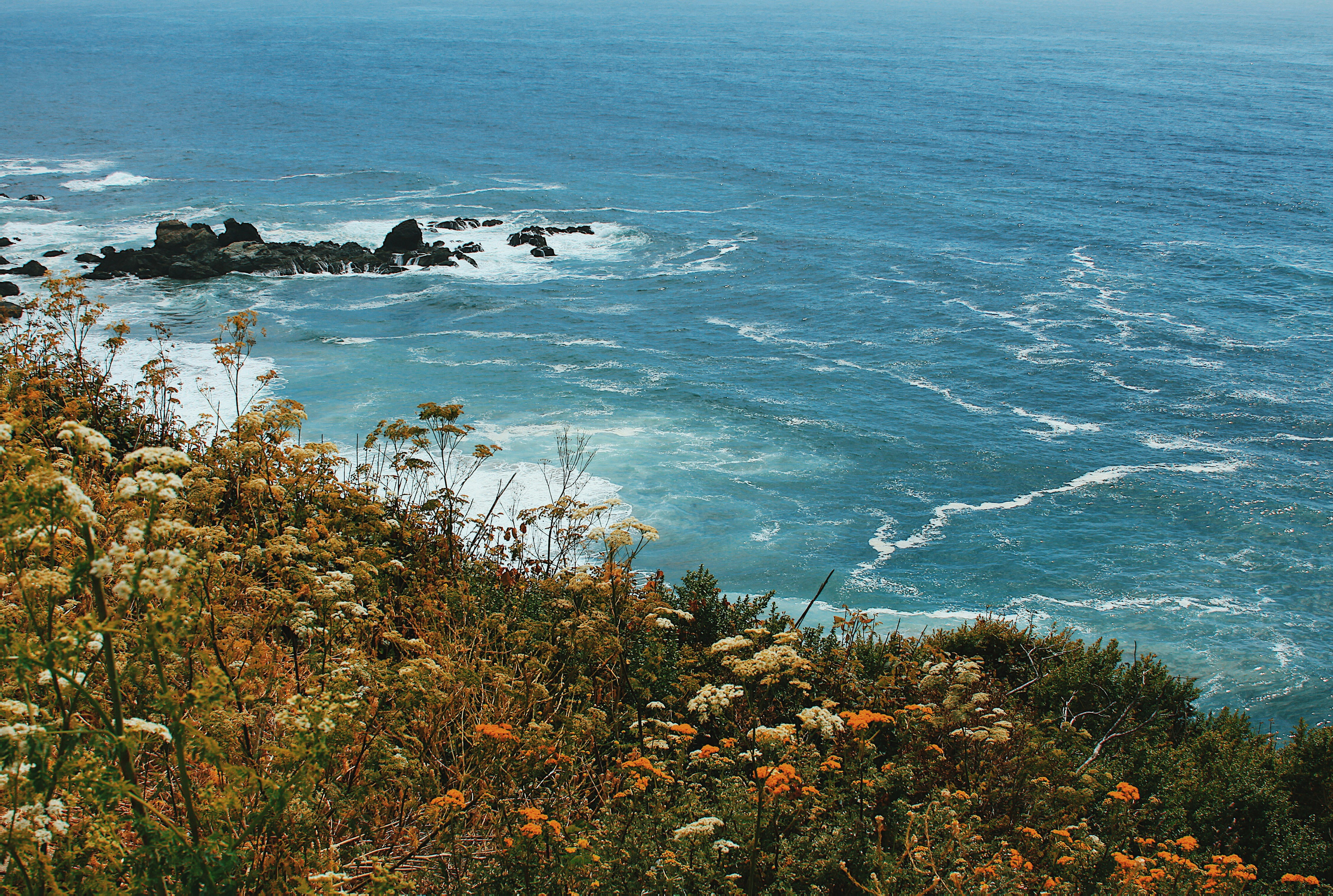 Photo by yeuxbleupale