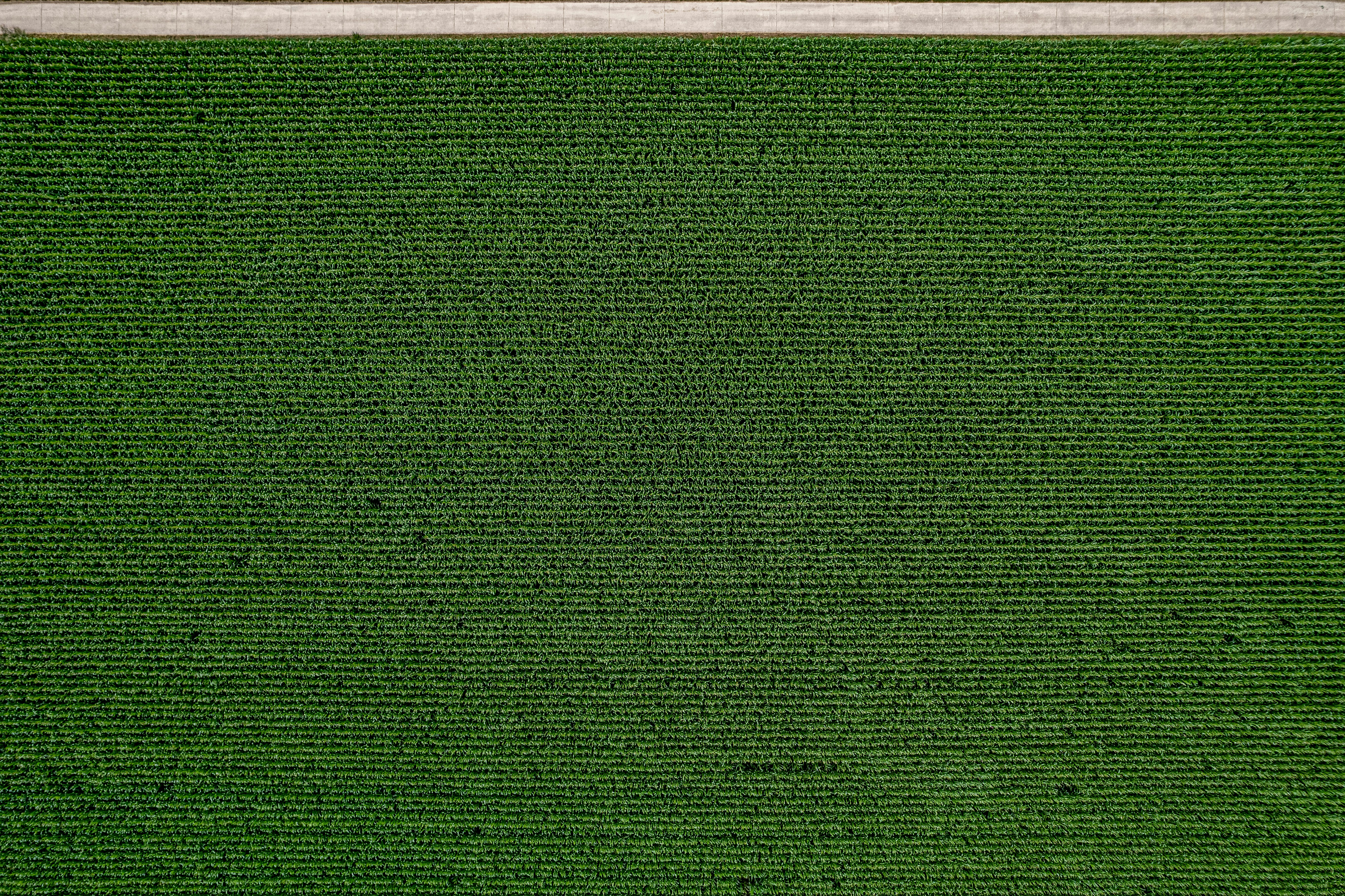 An aerial view of a baseball field with grass