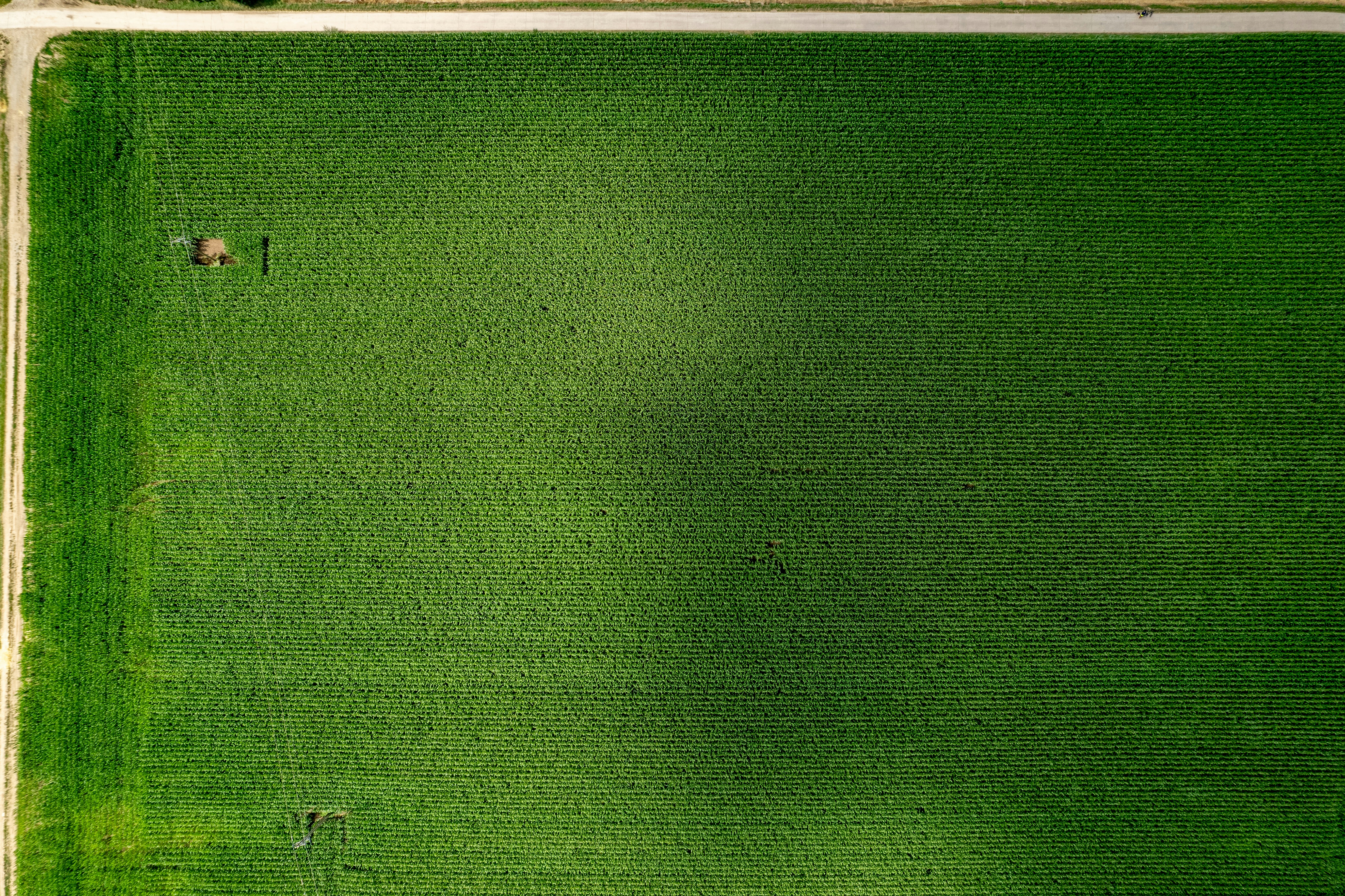An aerial view of a field of grass
