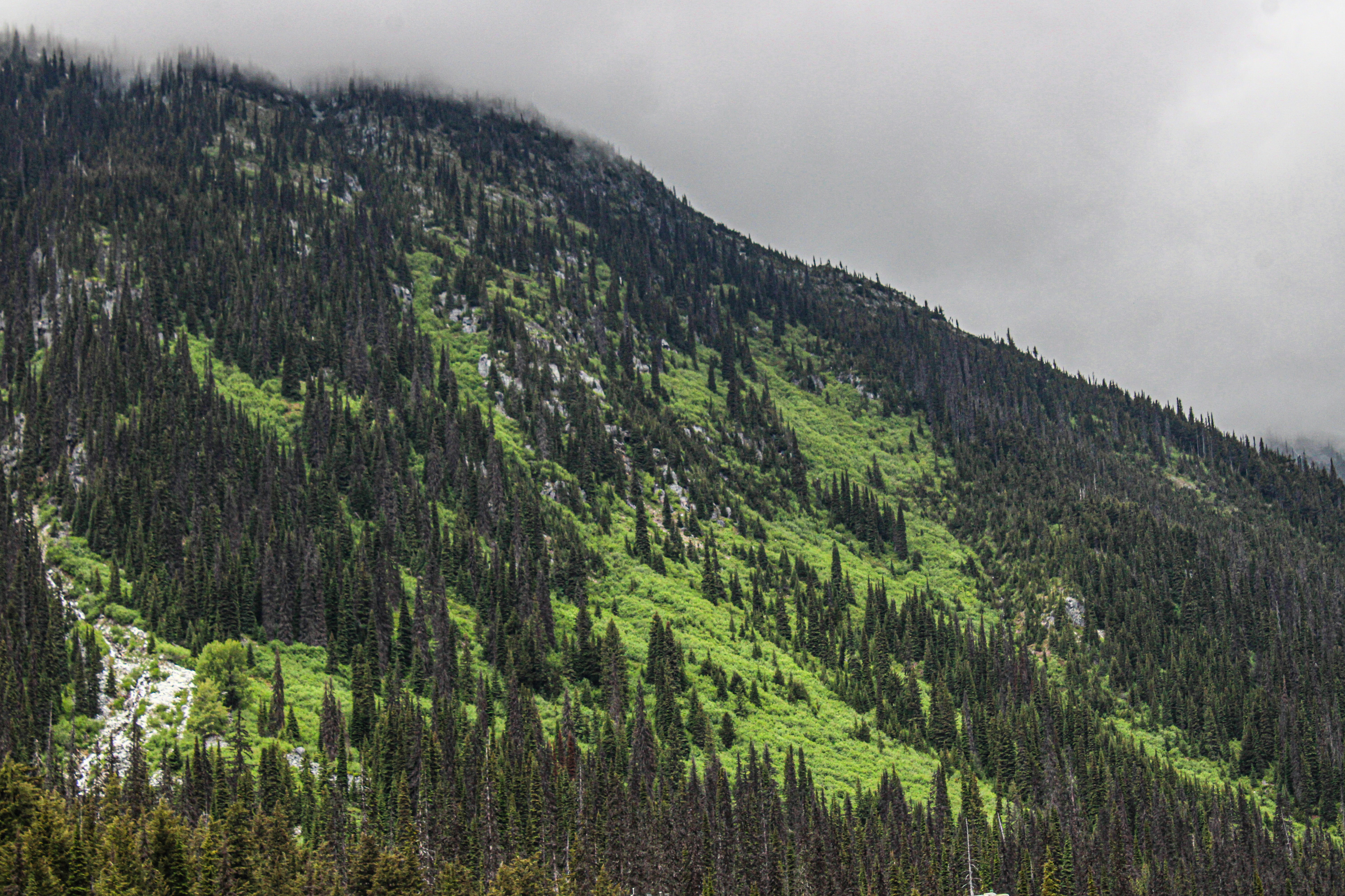 Photo by prphotography262