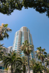 A very tall building surrounded by palm trees
