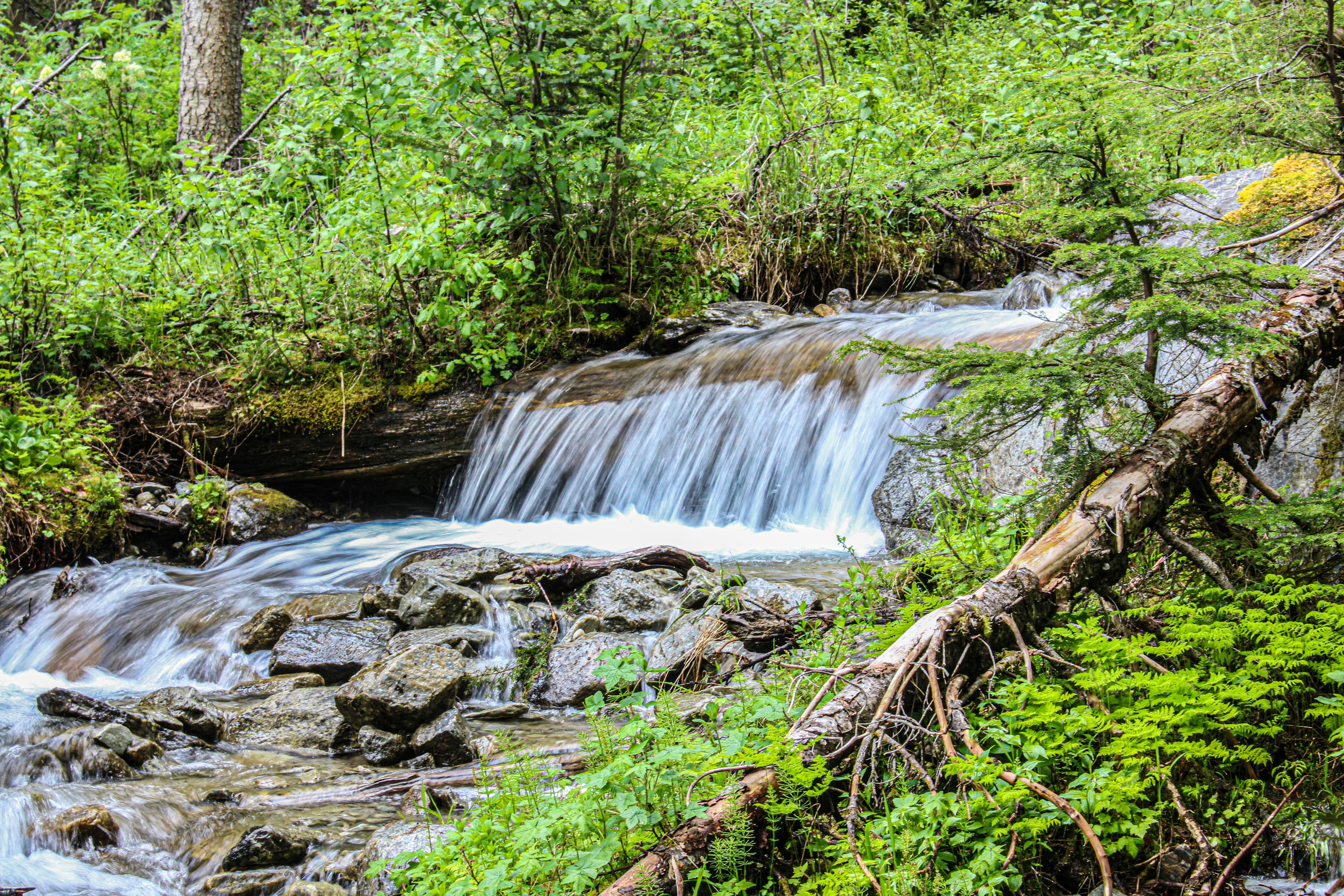 Photo by prphotography262