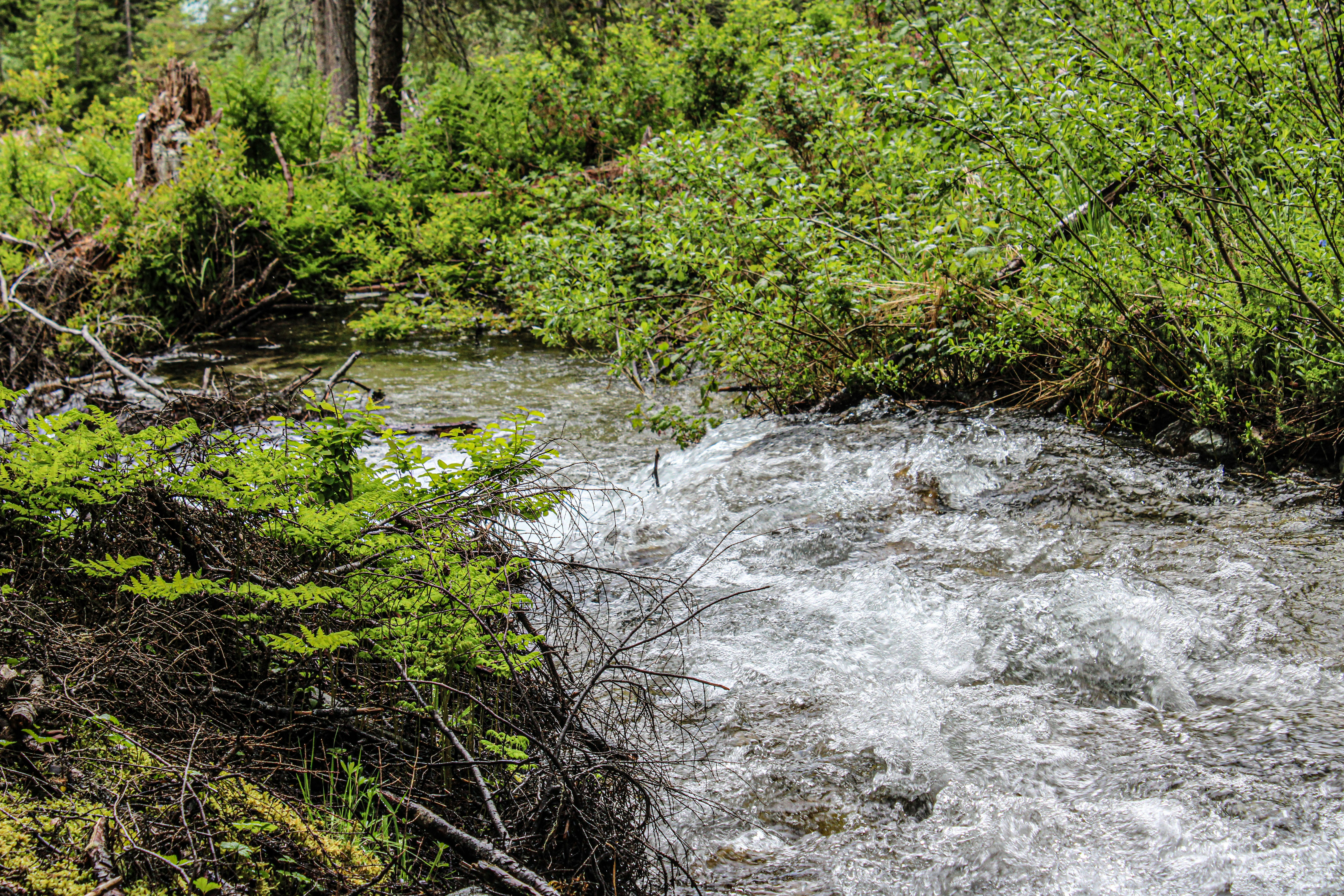 Photo by prphotography262