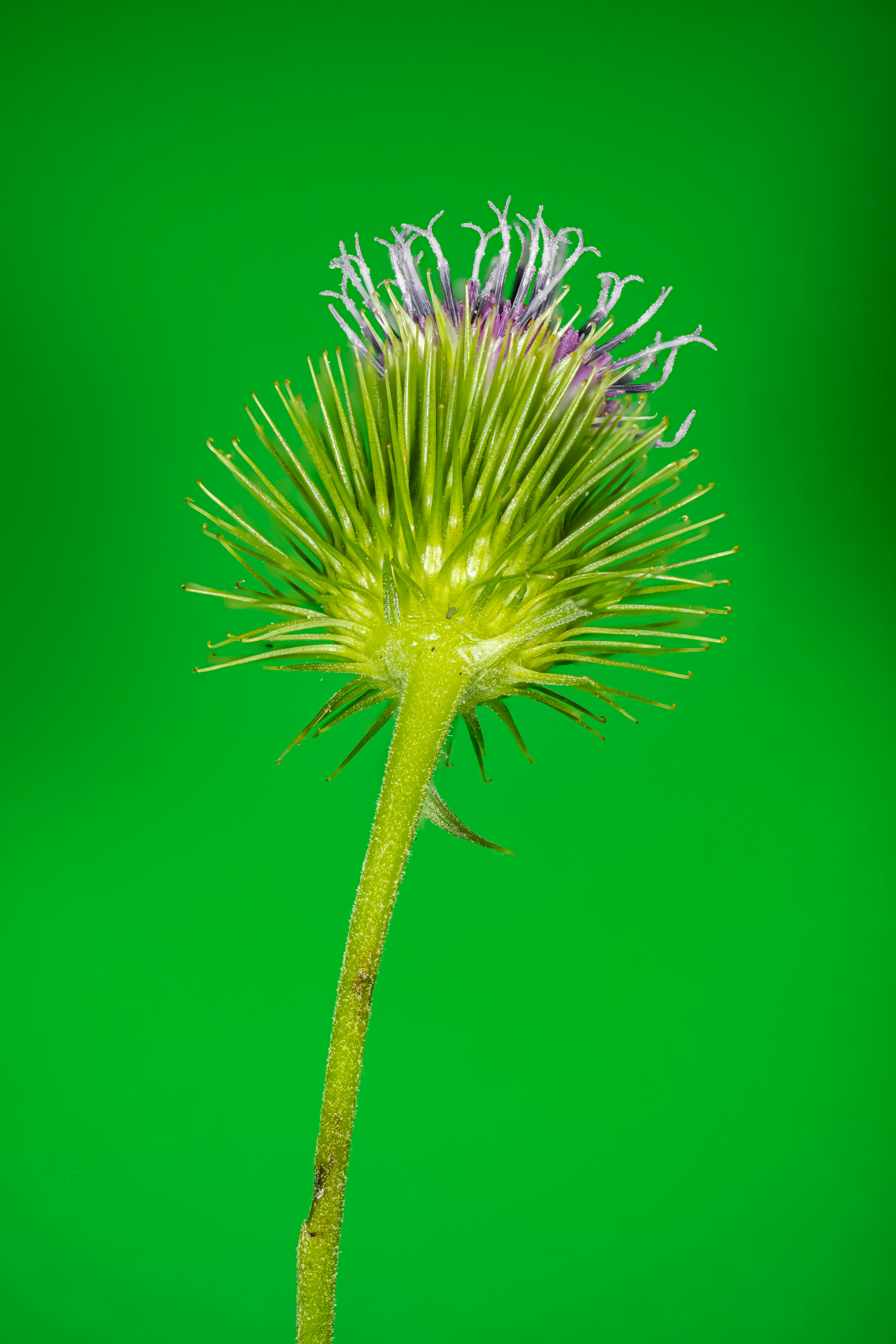 Photo by alexandredaoust