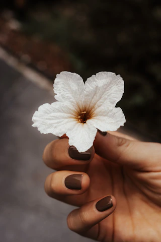 A person holding a white flower in their hand