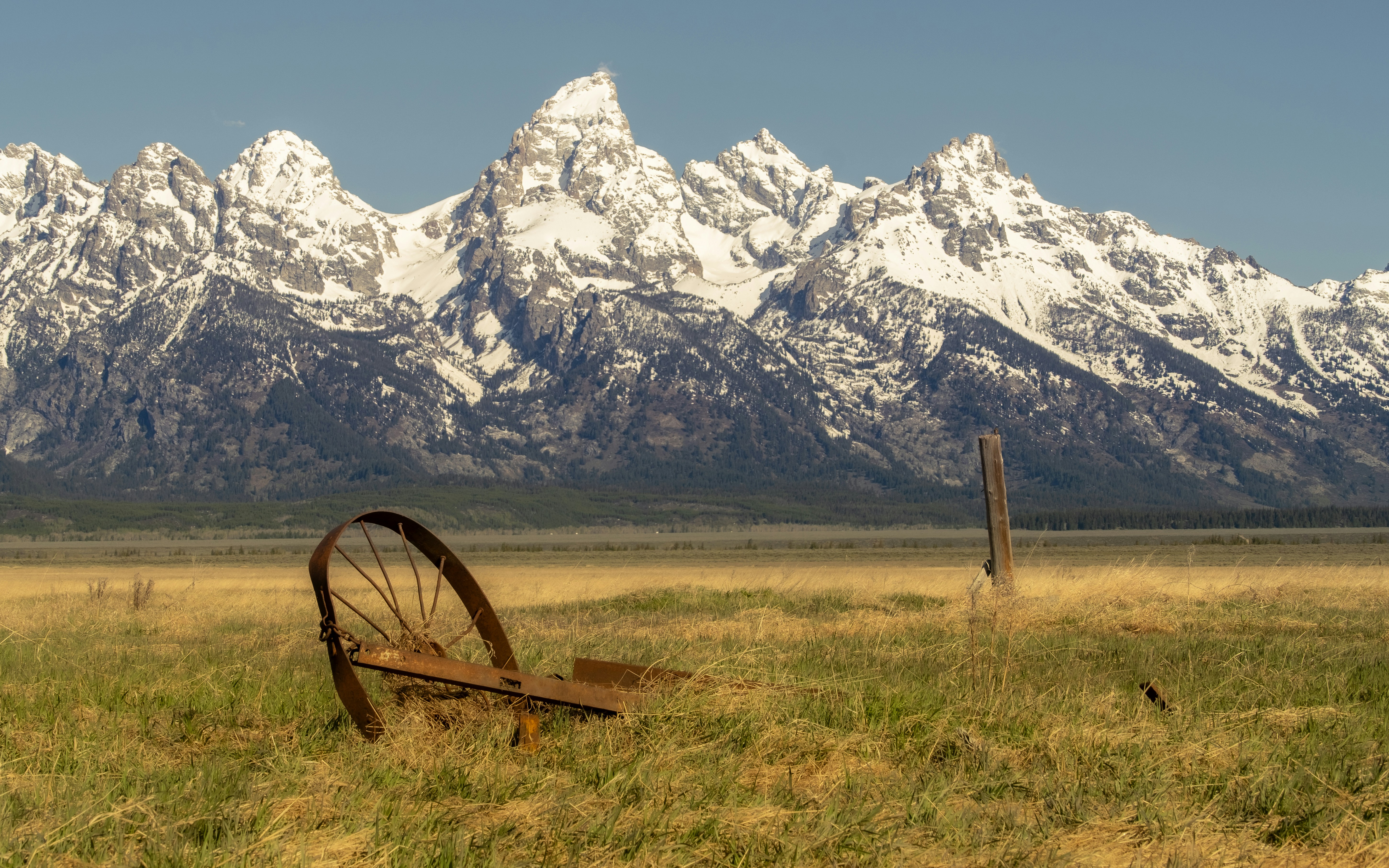 Um grande campo com uma montanha ao fundo