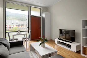 A living room filled with furniture and a flat screen TV