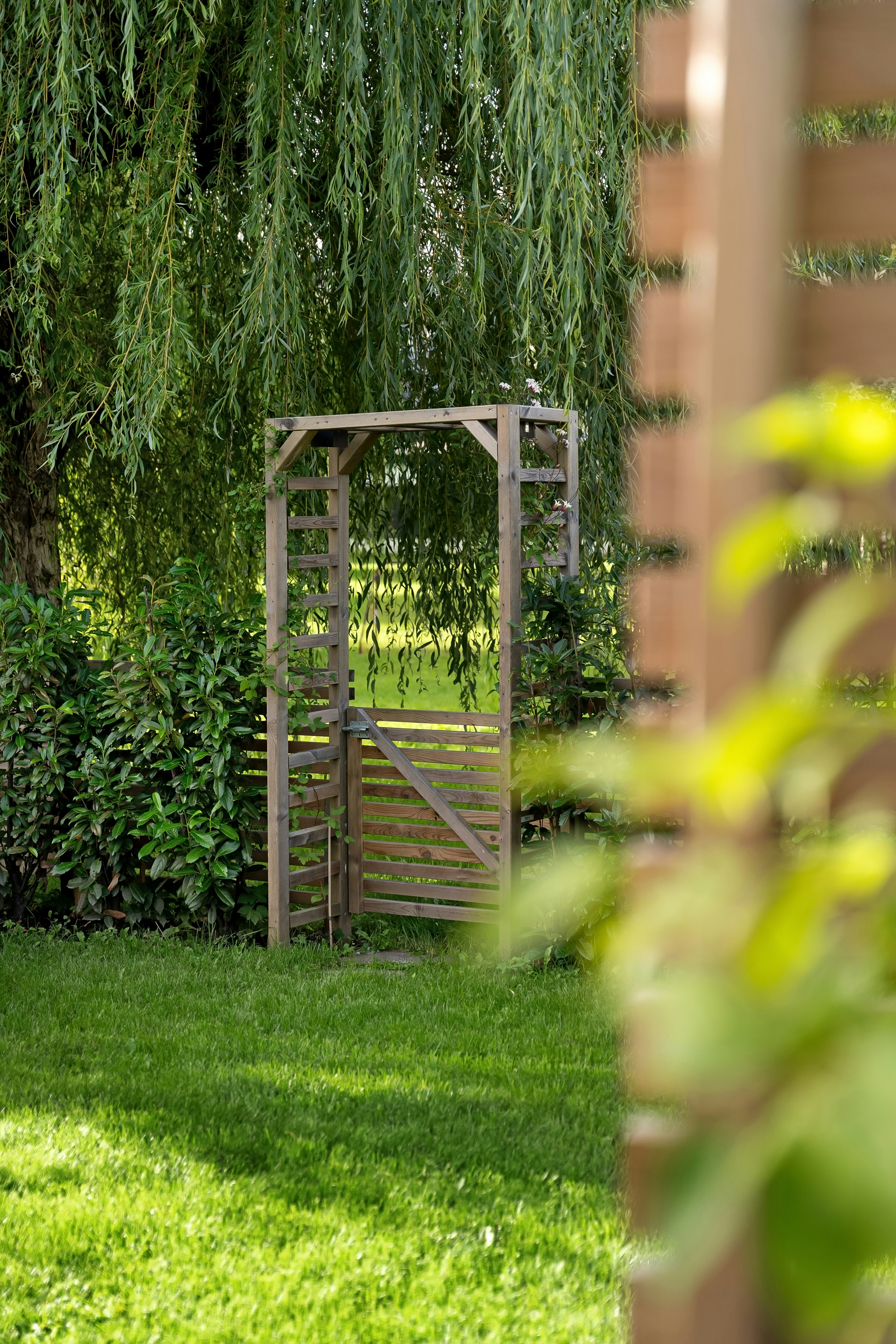 Photo by alextyson195