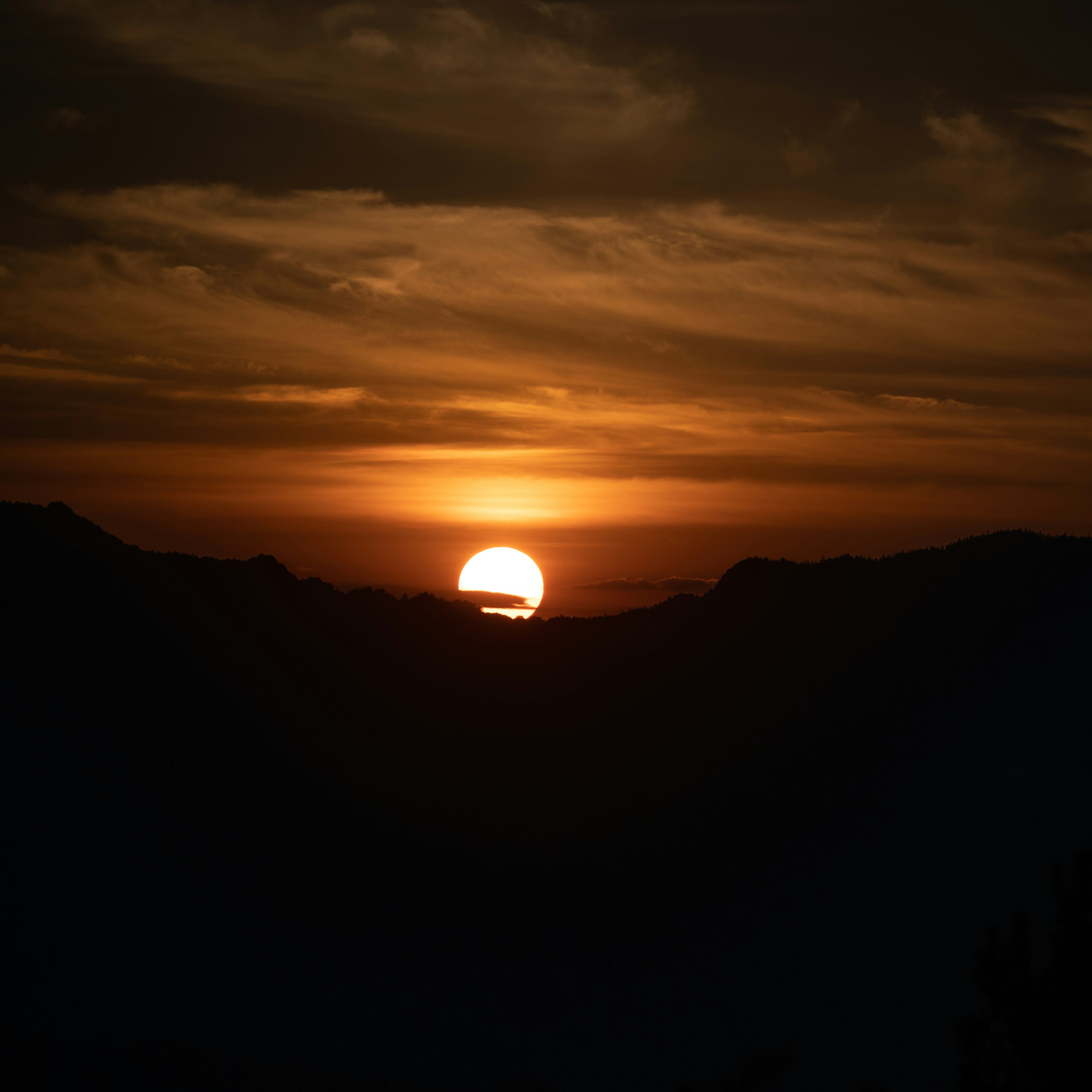 Photo by nikol_royce