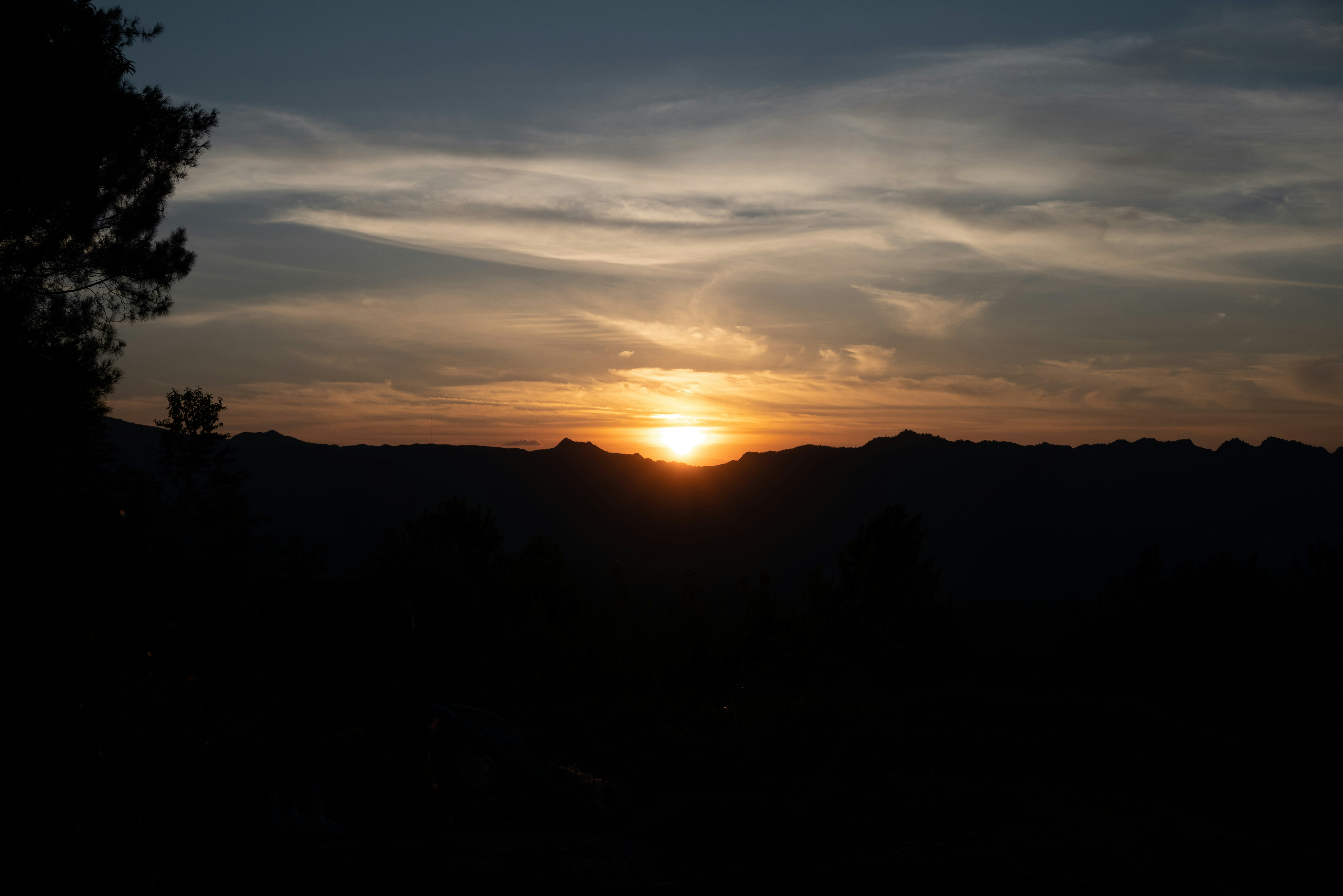 Photo by nikol_royce