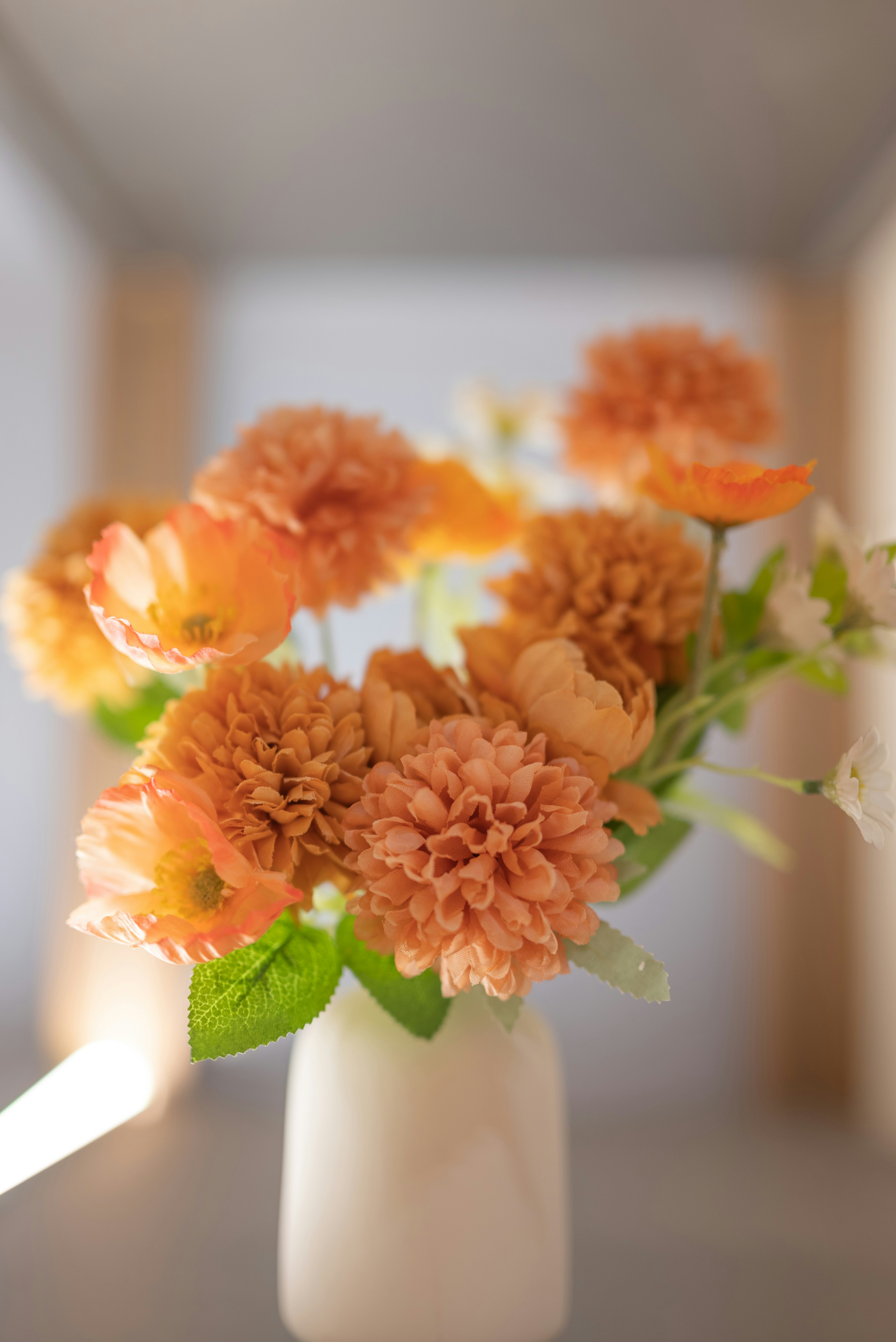 Photo by nikol_royce