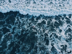An aerial view of a body of water
