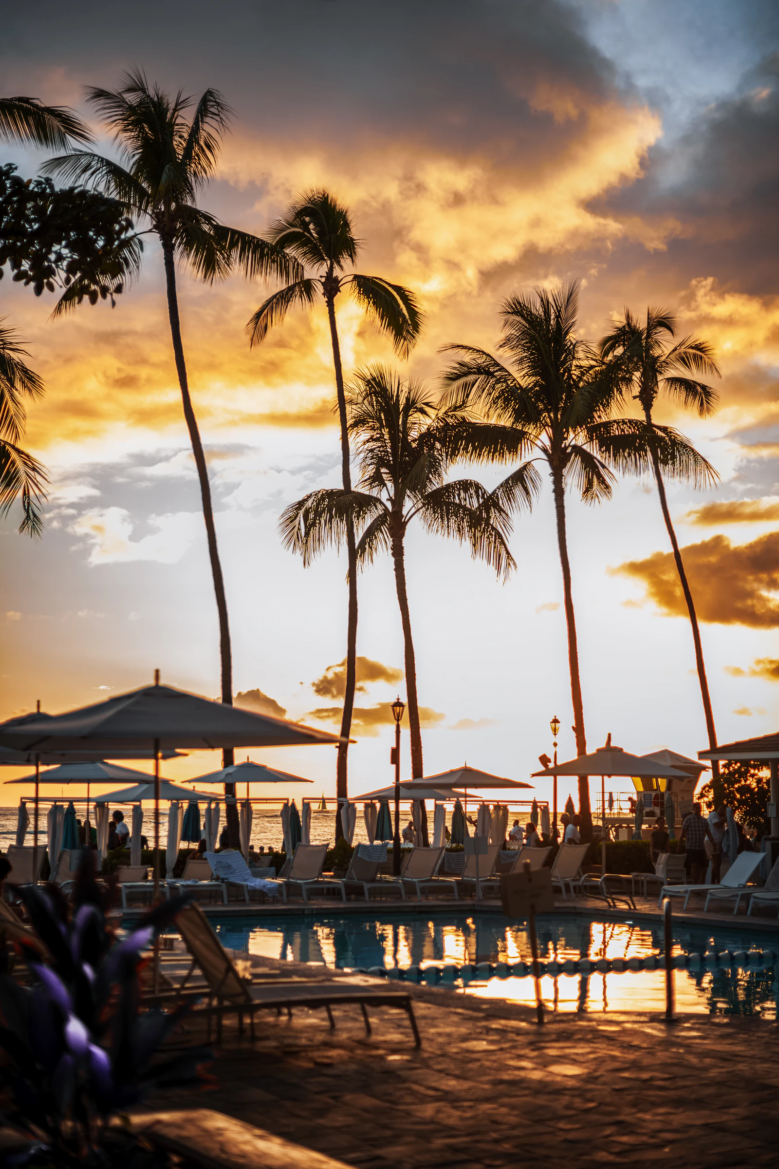 Resort pool at sunset