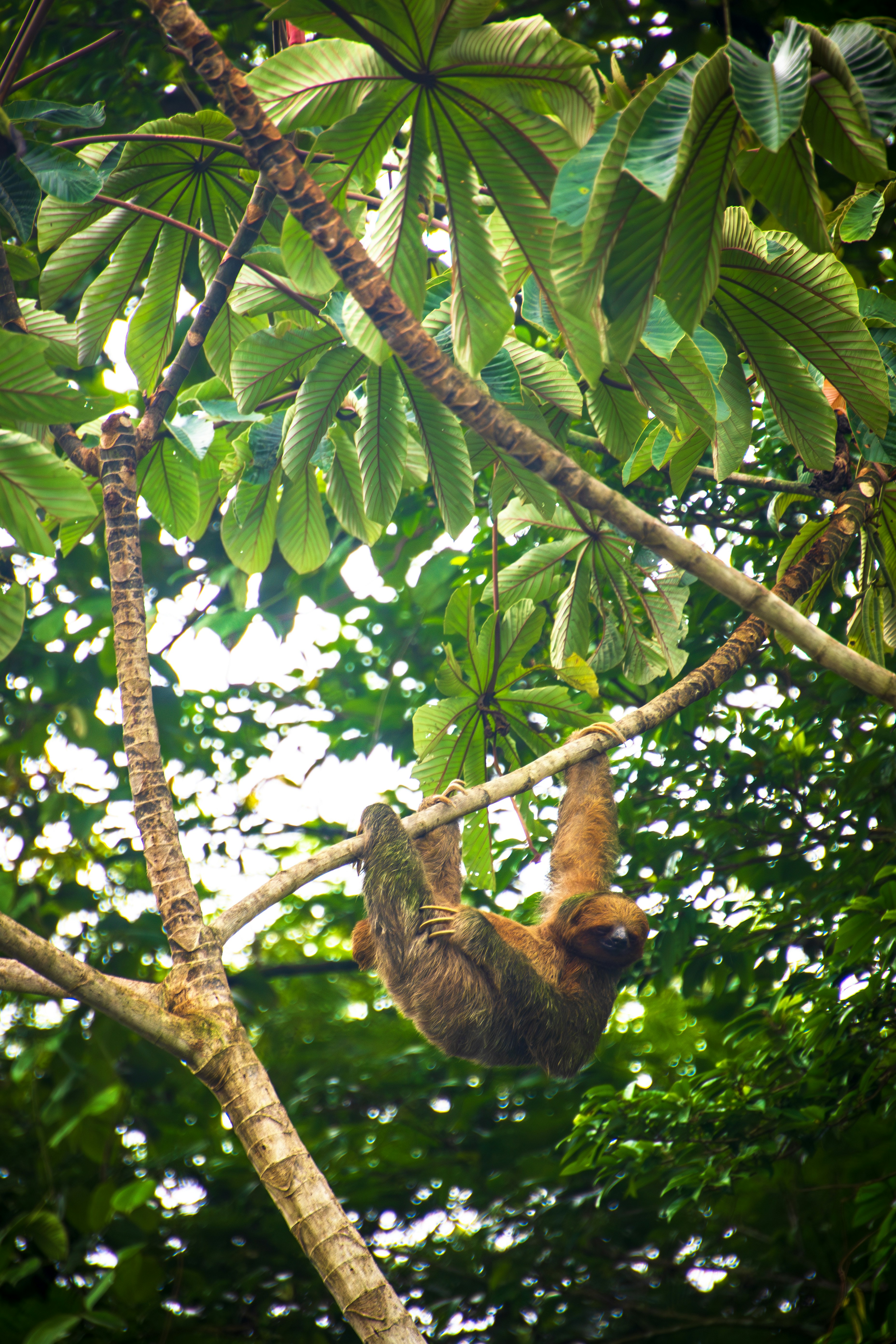 Photo by gabrielrana