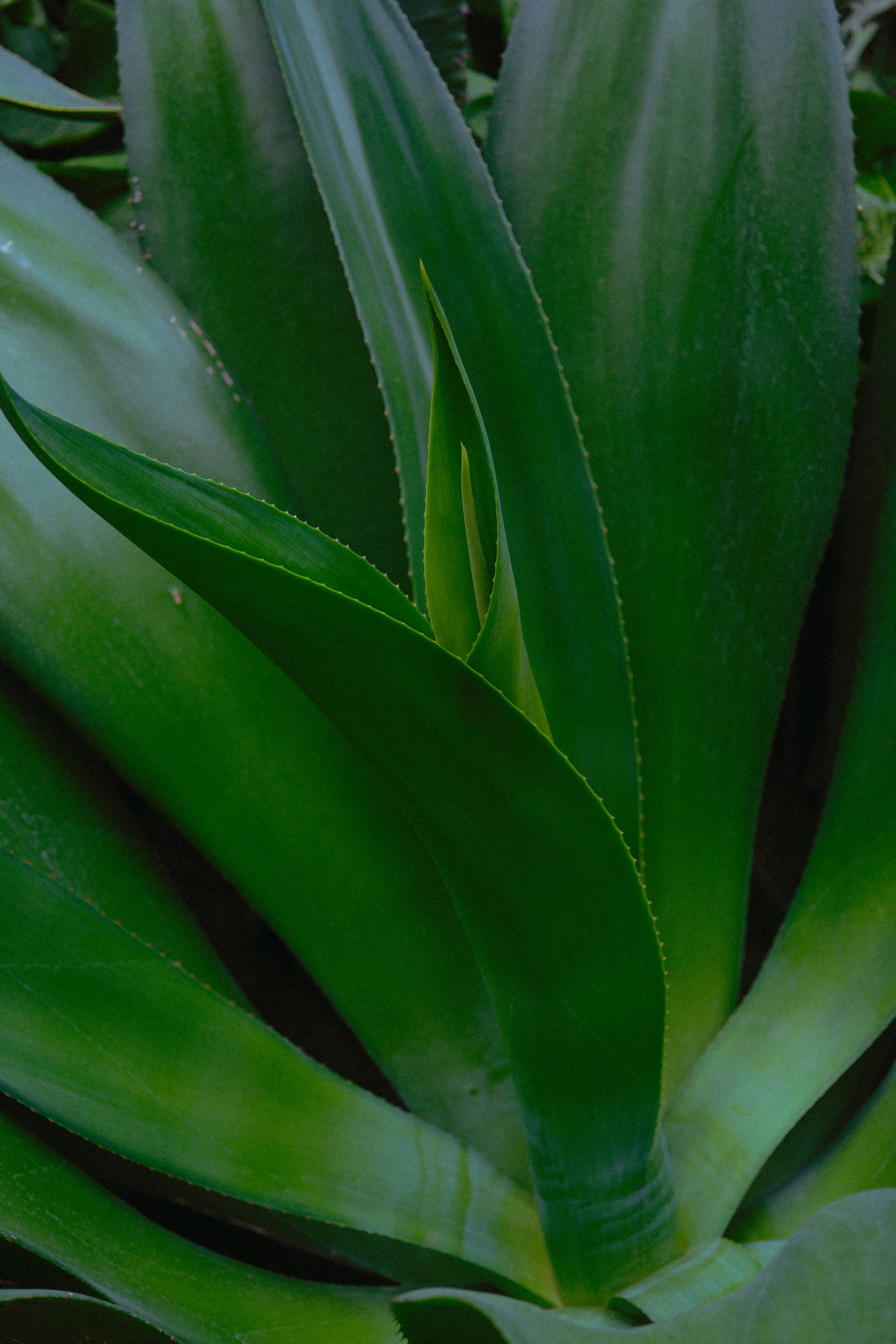 Photo by photohunter