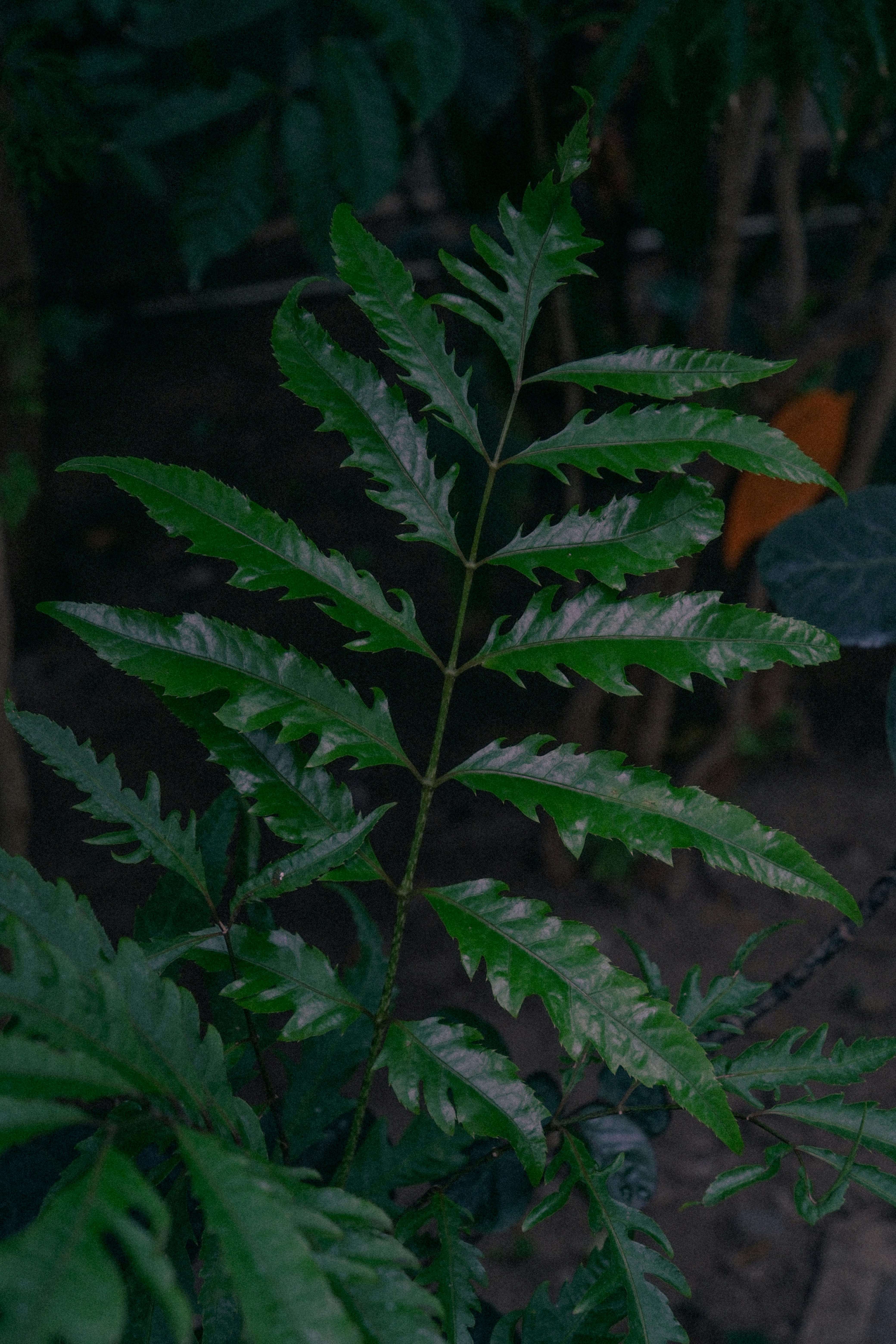 Photo by photohunter