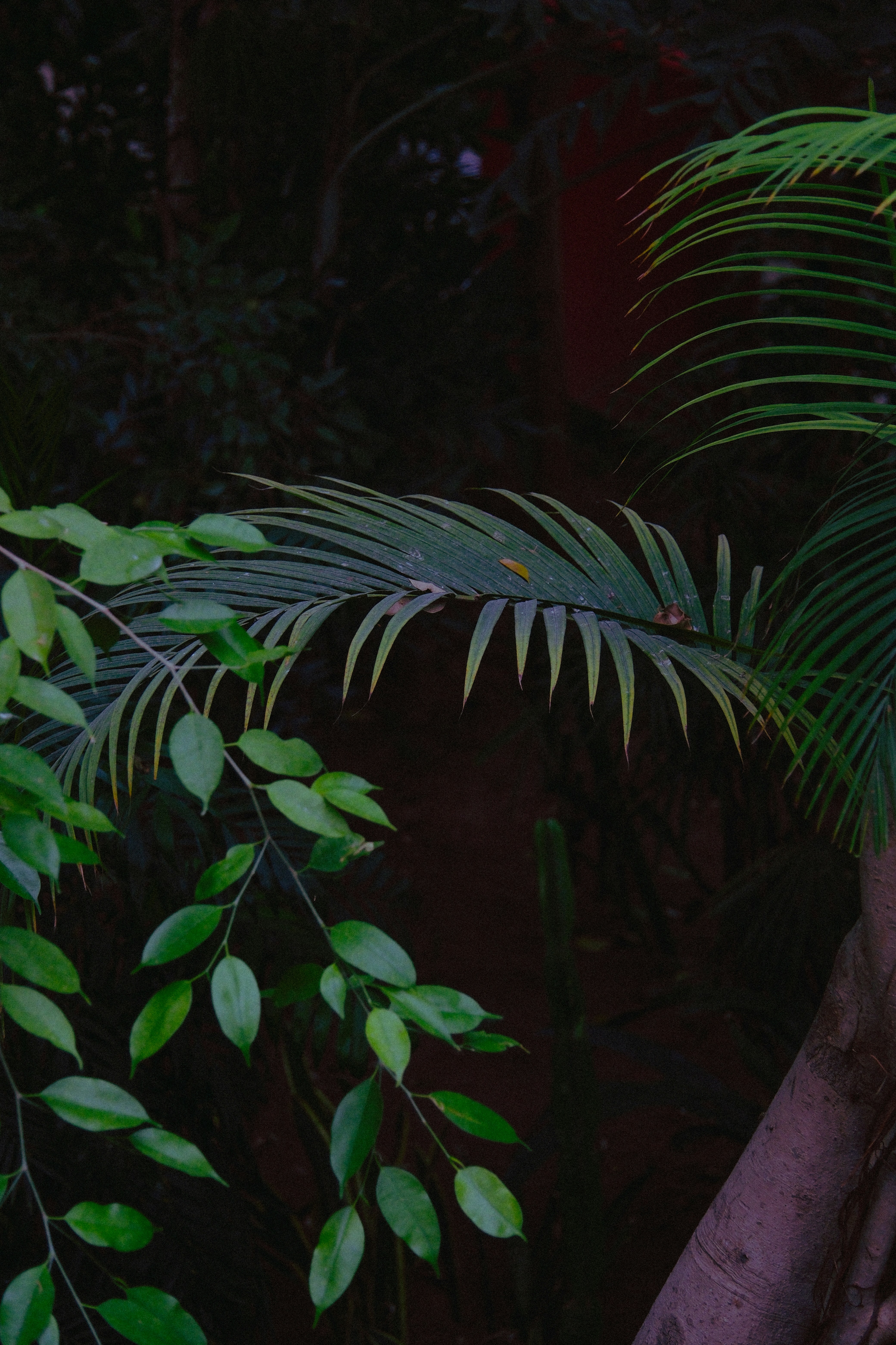 Photo by photohunter