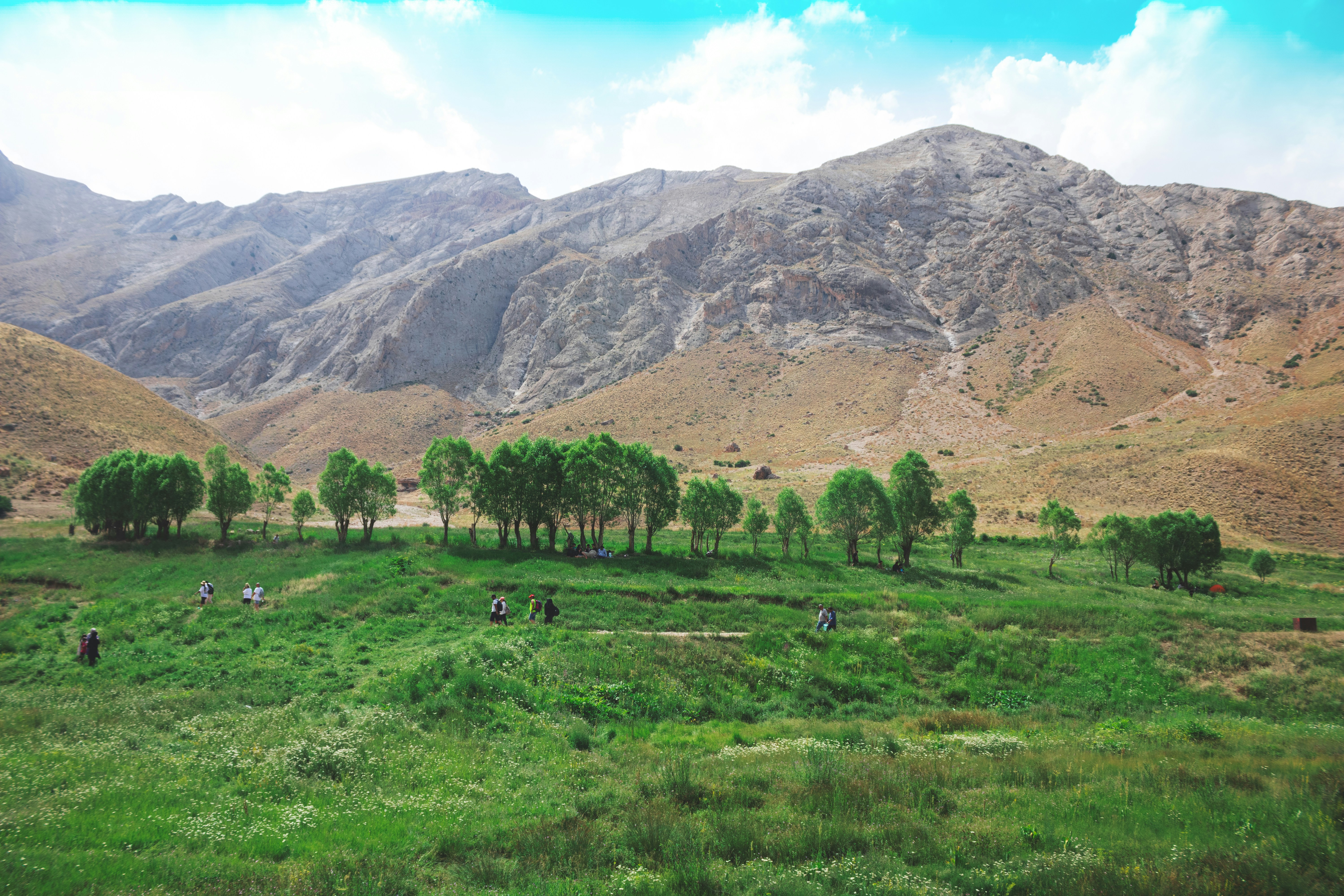 A grassy field with mountains in the background
